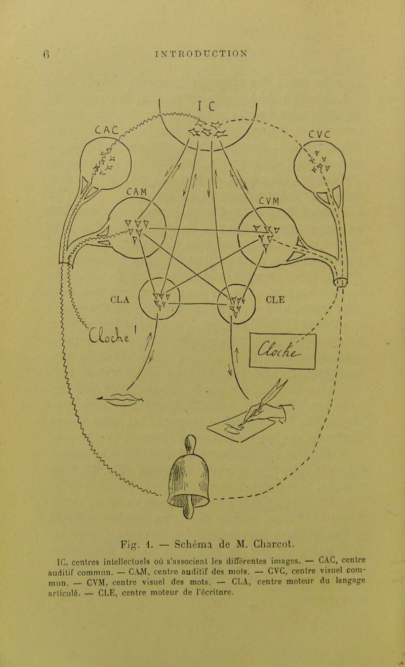 Fig. i. — Schéma de M. Cliarcot. IC. cenires intellectuels où s'associent les différentes imnges. — CAC. centre auditif commun. — CAM, centre auditif des mois. — CVC, centre visuel com- mun. — CVM. centre visuel des mots. — CLA, centre moteur du langage articulé. — CLE, centre moteur de l'Écritnre.