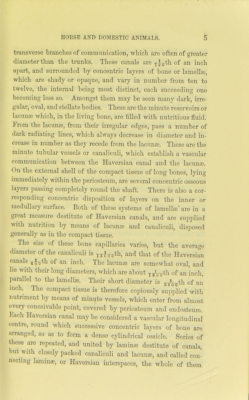 transverse branches of communication, which are often of greater diameter than the trunks. These canals are T|7th of an inch apart, and surrounded by concentric layers of bone or laniella3, which are shady or opaque, and vary in number from ten to twelve, the internal being most distinct, each succeeding one becoming less so. Amongst them may be seen many dark, irre- gular/oval, and stellate bodies. These are the minute reservoirs or lacunas which, in the living bone, are filled with nutritious fluid. From the lacunae, from their irregular edges, pass a number of dark radiating lines, which always decrease in diameter and in- crease in number as they recede from the lacunas. These are the minute tubular vessels or canaliculi, which establish a vascular communication between the Haversian canal and the lacunas. On the external shell of the compact tissue of long bones, lying immediately within the periosteum, are several concentric osseous layers passing completely round the shaft. There is also a cor- responding concentric disposition of layers on the inner or medullary surface. Both of these systems of lamellae' are in a great measure destitute of Haversian canals, and are supplied with nutrition by means of lacunae and canaliculi, disposed generally as in the compact tissue. The size of these bone capillaries varies, but the average diameter of the canaliculi is T7rJ^th, and that of the Haversian canals ^Tth of an inch. The lacunae are somewhat oval, and lie with their long diameters, which are about x^th of an inch, parallel to the lamellae. Their short diameter is -g^th of an inch. The compact tissue is therefore copiously supplied with nutriment by means of minute vessels, which enter from almost every conceivable point, covered by periosteum and endosteum. Each Haversian canal may be considered a vascular longitudinal centre, round which successive concentric layers of bone are arranged, so as to form a dense cylindrical ossicle. Series of these are repeated, and united by laminae destitute of canals, but with closely packed canaliculi and lacunae, and called con- necting laminae, or Haversian interspaces, the whole of them