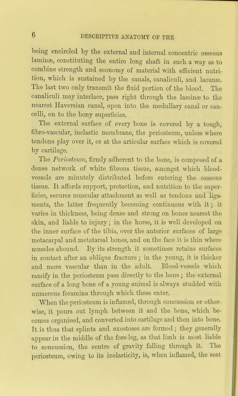 being encircled by the external and internal concentric osseous laminae, constituting the entire long shaft in such a way as to combine strength and economy of material with efficient nutri- tion, which is sustained by the canals, canaliculi, and lacuna?. The last two only transmit the fluid portion of the blood. The canaliculi may interlace, pass right through the laminae to the nearest Haversian canal, open into the medullary canal or can- celli, on to the bony superficies. The external surface of every bone is covered by a tough, fibro-vascular, inelastic membrane, the periosteum, unless where tendons play over it, or at the articular surface which is covered by cartilage. The Periosteum, firmly adherent to the bone, is composed of a dense network of white fibrous tissue, amongst which blood- vessels are minutely distributed before entering the osseous tissue. It affords support, protection, and nutrition to the super- ficies, secures muscular attachment as well as tendons and liga- ments, the latter frequently becoming continuous with it; it varies in thickness, being dense and strong on bones nearest the skin, and liable to injury; in the horse, it is well developed on the inner surface of the tibia, over the anterior surfaces of large metacarpal and metatarsal bones, and on the face it is thin where muscles abound. By its strength it sometimes retains surfaces in contact after an oblique fracture ; in the young, it is thicker and more vascular than in the adult. Blood-vessels which ramify in the periosteum pass directly to the bone; the external surface of a long bone of a young animal is always studded with numerous foramina through which these enter. When the periosteum is inflamed, through concussion or other- wise, it pours out lymph between it and the bone, which be- comes organised, and converted into cartilage and then into bone. Tt is thus that splints and exostoses are formed ; they generally appear in the middle of the fore-leg, as that limb is most liable to concussion, the centre of gravity falling through it. The periosteum, owing to its inelasticity, is, when inflamed, the seat