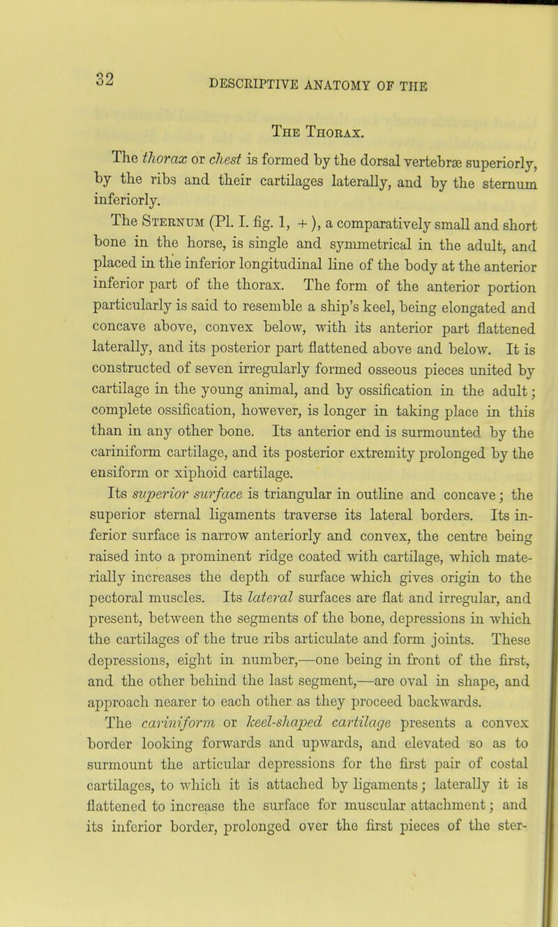 The Thorax. The thorax or chest is formed by the dorsal vertebrae superiorly, by the ribs and their cartilages laterally, and by the sternum inferiorly. The Sternum (PI. I. fig. 1, +), a comparatively small and short bone in the horse, is single and symmetrical in the adult, and placed in the inferior longitudinal line of the body at the anterior inferior part of the thorax. The form of the anterior portion particularly is said to resemble a ship's keel, being elongated and concave above, convex below, with its anterior part flattened laterally, and its posterior part flattened above and below. It is constructed of seven irregularly formed osseous pieces united by cartilage in the young animal, and by ossification in the adult; complete ossification, however, is longer in taking place in this than in any other bone. Its anterior end is surmounted by the cariniform cartilage, and its posterior extremity prolonged by the ensiform or xiphoid cartilage. Its superior surface is triangular in outline and concave; the superior sternal ligaments traverse its lateral borders. Its in- ferior surface is narrow anteriorly and convex, the centre being raised into a prominent ridge coated with cartilage, which mate- rially increases the depth of surface which gives origin to the pectoral muscles. Its lateral surfaces are flat and irregular, and present, between the segments of the bone, depressions in which the cartilages of the true ribs articulate and form joints. These depressions, eight in number,—one being in front of the first, and the other behind the last segment,—are oval in shape, and approach nearer to each other as they proceed backwards. The cariniform or keel-shaped cartilage presents a convex border looking forwards and upwards, and elevated so as to surmount the articular depressions for the first pair of costal cartilages, to which it is attached by ligaments; laterally it is flattened to increase the surface for muscular attachment; and its inferior border, prolonged over the first pieces of the ster-