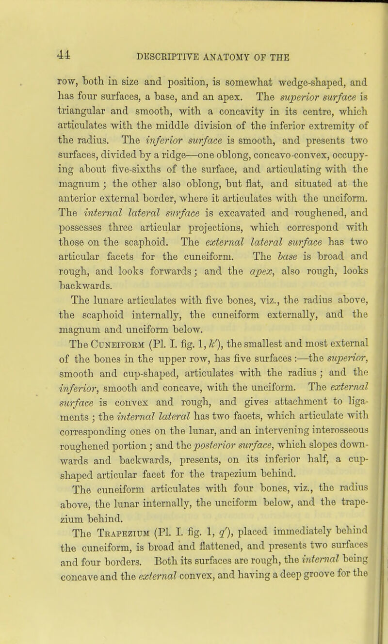 row, both in size and position, is somewhat wedge-shaped, and has four surfaces, a base, and an apex. The superior surface is triangular and smooth, with a concavity in its centre, which articulates with the middle division of the inferior extremity of the radius. The inferior surface is smooth, and presents two surfaces, divided by a ridge—one oblong, concavo-convex, occupy- ing about five-sixths of the surface, and articulating with the magnum ; the other also oblong, but flat, and situated at the anterior external border, where it articulates with the unciform. The internal lateral surface is excavated and roughened, and possesses three articular projections, which correspond with those on the scaphoid. The external lateral surface has two articular facets for the cuneiform. The base is broad and rough, and looks forwards; and the apex, also rough, looks backwards. The lunare articulates with five bones, viz., the radius above, the scaphoid internally, the cuneiform externally, and the magnum and unciform below. The Cuneiform (PI. I. fig. 1, 7c'), the smallest and most external of the bones in the upper row, has five surfaces :—the superior, smooth and cup-shaped, articulates with the radius ; and the inferior, smooth and concave, with the unciform. The external surface is convex and rough, and gives attachment to liga- ments ; the internal lateral has two faoets, which articulate with corresponding ones on the lunar, and an intervening interosseous roughened portion; and the posterior surface, which slopes down- wards and backwards, presents, on its inferior half, a cup- shaped articular facet for the trapezium behind. The cuneiform articulates with four bones, viz., the radius above, the lunar internally, the unciform below, and the trape- zium behind. The Trapezium (PI. I. fig. 1, ?'), placed immediately behind the cuneiform, is broad and flattened, and presents two surfaces and four borders. Both its surfaces are rough, the internal being concave and the external convex, and having a deep groove for the