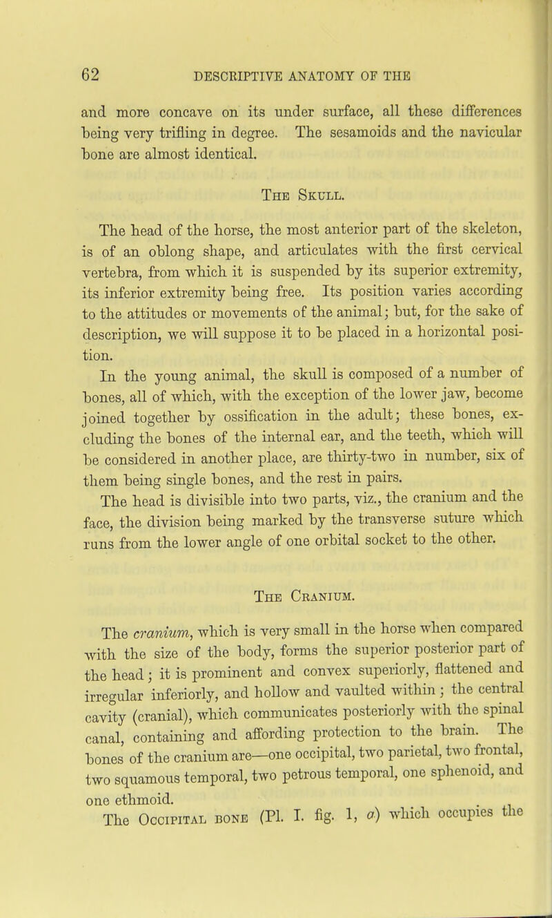 and more concave on its under surface, all these differences being very trifling in degree. The sesamoids and the navicular hone are almost identical. The Skull. The head of the horse, the most anterior part of the skeleton, is of an oblong shape, and articulates with the first cervical vertebra, from which it is suspended by its superior extremity, its inferior extremity being free. Its position varies according to the attitudes or movements of the animal; but, for the sake of description, we will suppose it to be placed in a horizontal posi- tion. In the young animal, the skull is composed of a number of bones, all of which, with the exception of the lower jaw, become joined together by ossification in the adult; these bones, ex- cluding the bones of the internal ear, and the teeth, which will be considered in another place, are thirty-two in number, six of them being single bones, and the rest in pairs. The head is divisible into two parts, viz., the cranium and the face, the division being marked by the transverse suture which runs from the lower angle of one orbital socket to the other. The Cranium. The cranium, which is very small in the horse when compared with the size of the body, forms the superior posterior part of the head; it is prominent and convex superiorly, flattened and irregular inferiorly, and hollow and vaulted within ; the central cavity (cranial), which communicates posteriorly with the spinal canal, containing and affording protection to the brain. The bones of the cranium are—one occipital, two parietal, two frontal, two squamous temporal, two petrous temporal, one sphenoid, and one ethmoid. The Occipital done (PL I. fig- 1, a) which occupies the