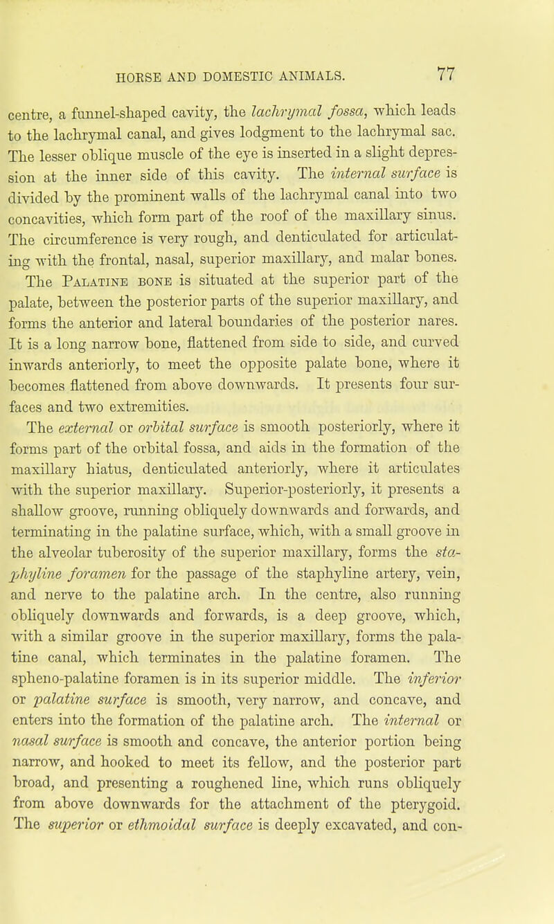 centre, a funnel-shaped cavity, the lachrymal fossa, which leads to the lachrymal canal, and gives lodgment to the lachrymal sac. The lesser oblique muscle of the eye is inserted in a slight depres- sion at the inner side of this cavity. The internal surface is divided by the prominent walls of the lachrymal canal into two concavities, which form part of the roof of the maxillary sinus. The circumference is very rough, and denticidated for articulat- ing with the frontal, nasal, superior maxillary, and malar bones. The Palatine bone is situated at the superior part of the palate, between the posterior parts of the superior maxillary, and forms the anterior and lateral boundaries of the posterior nares. It is a long narrow bone, flattened from side to side, and curved inwards anteriorly, to meet the opposite palate bone, where it becomes flattened from above downwards. It presents four sur- faces and two extremities. The external or orbital surface is smooth posteriorly, where it forms part of the orbital fossa, and aids in the formation of the maxillary hiatus, denticulated anteriorly, where it articulates with the superior maxillary. Superior-posteriorly, it presents a shallow groove, running obliquely downwards and forwards, and terminating in the palatine surface, which, with a small groove in the alveolar tuberosity of the superior maxillary, forms the sta- jjiyline foramen for the passage of the staphyline artery, vein, and nerve to the palatine arch. In the centre, also running obliquely downwards and forwards, is a deep groove, which, with a simdar groove in the superior maxillary, forms the pala- tine canal, which terminates in the palatine foramen. The spheuo-palatine foramen is in its superior middle. The inferior or palatine surface is smooth, very narrow, and concave, and enters into the formation of the palatine arch. The internal or nasal surface is smooth and concave, the anterior portion being narrow, and hooked to meet its fellow, and the posterior part broad, and presenting a roughened line, which runs obliquely from above downwards for the attachment of the pterygoid. The superior or ethmoidal surface is deeply excavated, and con-