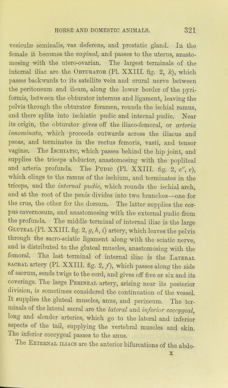 vesiculse seminalis, vas deferens, and prostatic gland. In the female it becomes the vaginal, and passes to the uterus, anasto- mosing with the utero-ovarian. The largest terminals of the internal iliac are the Obturator (PI. XXIII. fig. 2, Jc), which passes backwards to its satellite vein and crural nerve between the peritoneum and ileum, along the lower border of the piri- formis, between the obturator internus and ligament, leaving the pelvis through the obturator foramen, rounds the ischial ramus, and there splits into ischiatic pudic and internal pudic. Near its origin, the obturator gives off the iliaco-femoral, or arteria innominata, which proceeds outwards across the iliacus and psoas, and terminates in the rectus femoris, vasti, and tensor vagina?. The Ischiatic, which passes behind the hip joint, and supplies the triceps abductor, anastomosing with the popliteal and arteria profunda. The Pudic (PI. XXIII. fig. 2, c, e), which clings to the ramus of the ischium, and terminates in the triceps, and the internal pudic, which rounds the ischial arch, and at the root of the penis divides into two branches—one for the crus, the other for the dorsum. The latter supplies the cor- pus cavernosum, and anastomosing with the external pudic from the profunda. The middle terminal of internal iliac is the large Gluteal (PL XXIII. fig. 2, g, h, i) artery, which leaves the pelvis through the sacro-sciatic ligament along with the sciatic nerve, and is distributed to the gluteal muscles, anastomosing with the femoral. The last terminal of internal iliac is the Lateral sacral artery (PI. XXIII. fig. 2, /), which passes along the side of sacrum, sends twigs to the cord, and gives off five or six and its coverings. The large Perineal artery, arising near its posterior division, is sometimes considered the continuation of the vessel. It supplies the gluteal muscles, anus, and perineum. The ter- minals of the lateral sacral are the lateral and inferior coccygeal, long and slender arteries, which go to the lateral and inferior aspects of the tail, supplying the vertebral muscles and skin. The inferior coccygeal passes to the anus. The External iliacs are the anterior bifurcations of the abdo-