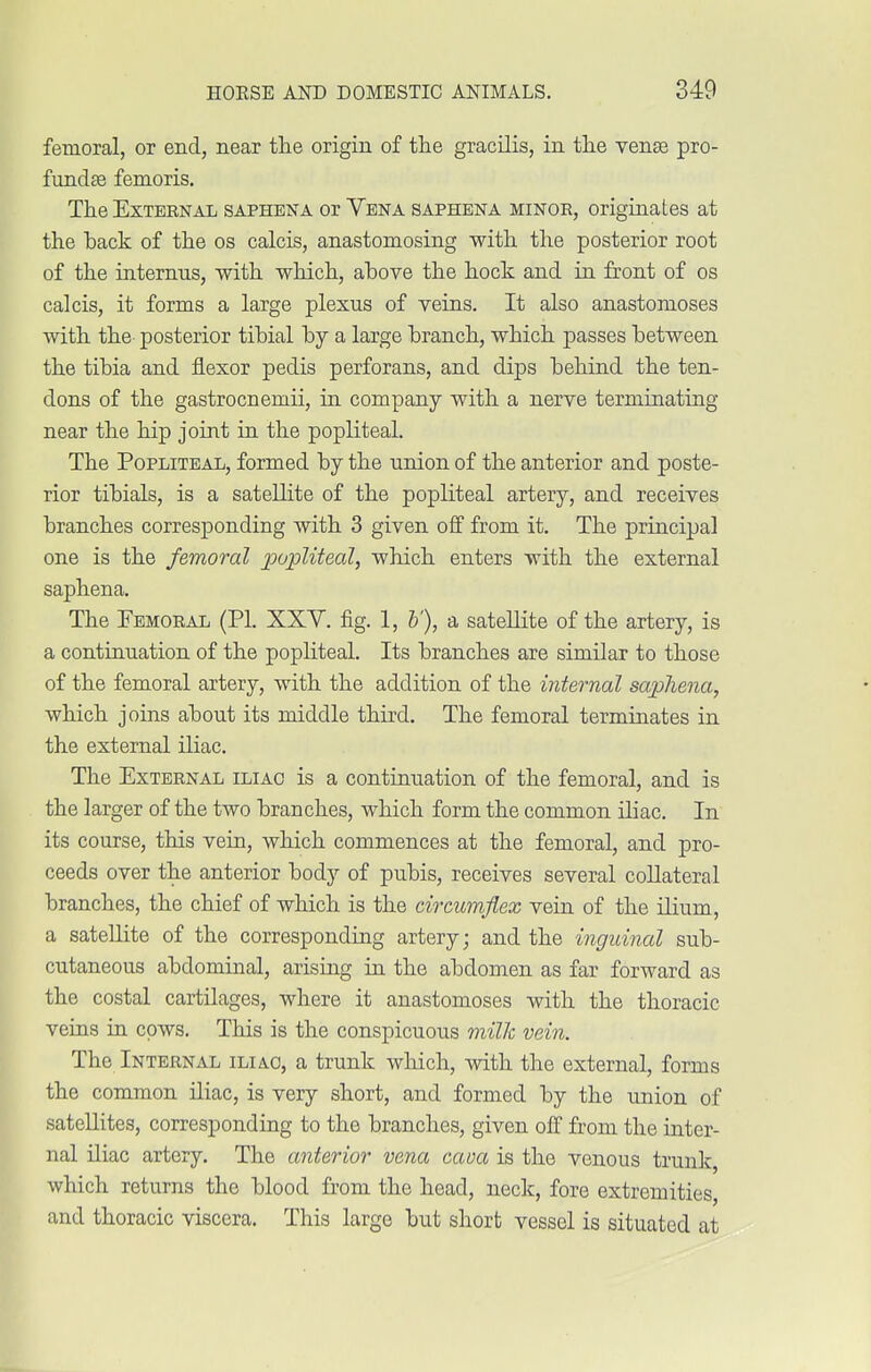 femoral, or end, near the origin of the gracilis, in the venae pro- fundse femoris. The Extbbnal saphena or Yena saphena minor, originates at the back of the os calcis, anastomosing with the posterior root of the internus, with which, above the hock and in front of os calcis, it forms a large plexus of veins. It also anastomoses with the posterior tibial by a large branch, which passes between the tibia and flexor pedis perforans, and dips behind the ten- dons of the gastrocnemii, in company with a nerve terminating near the hip joint in the popliteal. The Popliteal, formed by the union of the anterior and poste- rior tibials, is a satellite of the popliteal artery, and receives branches corresponding with 3 given off from it. The principal one is the femoral popliteal, which enters with the external saphena. The Femoral (PL XXV. fig. 1, b'), a satellite of the artery, is a continuation of the popliteal. Its branches are similar to those of the femoral artery, with the addition of the internal saphena, which joins about its middle third. The femoral terminates in the external iliac. The External iliao is a continuation of the femoral, and is the larger of the two branches, which form the common iliac. In its course, this vein, which commences at the femoral, and pro- ceeds over the anterior body of pubis, receives several collateral branches, the chief of which is the circumflex vein of the ilium, a satellite of the corresponding artery; and the inguinal sub- cutaneous abdominal, arising in the abdomen as far forward as the costal cartilages, where it anastomoses with the thoracic veins in cows. This is the conspicuous milk vein. The Internal iliao, a trunk which, with the external, forms the common iliac, is very short, and formed by the union of satellites, corresponding to the branches, given off from the inter- nal iliac artery. The anterior vena cava is the venous trunk, which returns the blood from the head, neck, fore extremities, and thoracic viscera. This large but short vessel is situated at