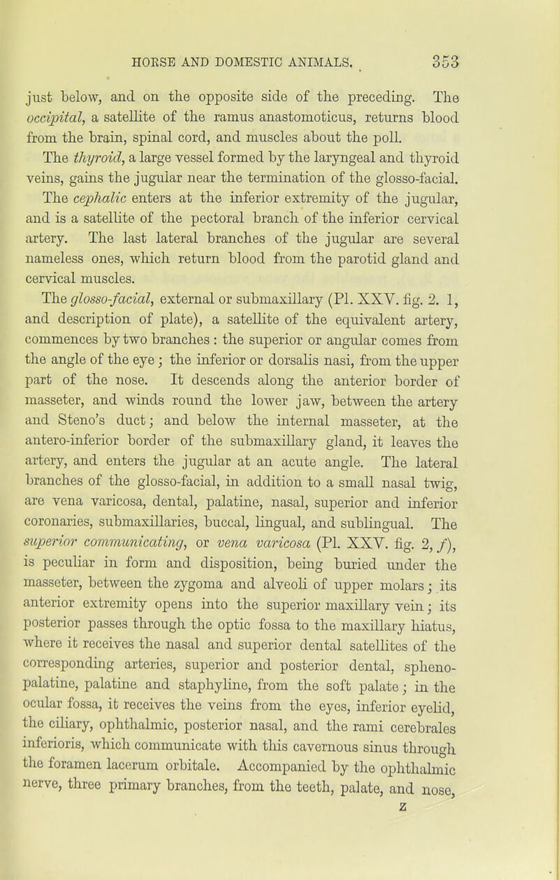 just below, and on the opposite side of the preceding. The occipital, a satellite of the ramus anastomoticus, returns blood from the brain, spinal cord, and muscles about the poll. The thyroid, a large vessel formed by the laryngeal and thyroid veins, gains the jugular near the termination of the glosso-facial. The cephalic enters at the inferior extremity of the jugular, and is a satellite of the pectoral branch of the inferior cervical artery. The last lateral branches of the jugular are several nameless ones, which return blood from the parotid gland and cervical muscles. The glosso-facial, external or submaxillary (PI. XXV. fig. 2. 1, and description of plate), a satellite of the equivalent artery, commences by two branches : the superior or angular comes from the angle of the eye; the inferior or dorsalis nasi, from the upper part of the nose. It descends along the anterior border of masseter, and winds round the lower jaw, between the artery and Steno's duct; and below the internal masseter, at the antero-inferior border of the submaxillary gland, it leaves the artery, and enters the jugular at an acute angle. The lateral branches of the glosso-facial, in addition to a small nasal twig, are vena varicosa, dental, palatine, nasal, superior and inferior coronaries, submaxillaries, buccal, lingual, and sublingual. The superior communicating, or vena varicosa (PI. XXV. fig. 2, /), is peculiar in form and disposition, being buried under the masseter, between the zygoma and alveoli of upper molars; its anterior extremity opens into the superior maxillary vein; its posterior passes through the optic fossa to the maxillary hiatus, where it receives the nasal and superior dental satellites of the corresponding arteries, superior and posterior dental, spheno- palatine, palatine and staphyline, from the soft palate; in the ocular fossa, it receives the veins from the eyes, inferior eyelid, the ciliary, ophthalmic, posterior nasal, and the rami cerebrales inferioris, which communicate with this cavernous sinus through the foramen lacerum orbitale. Accompanied by the ophthalmic nerve, three primary branches, from the teeth, palate, and nose, z