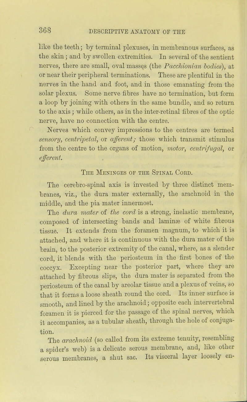 like the teeth; by terminal plexuses, in membranous surfaces, as the skin; and by swollen extremities. In several of the sentient nerves, there are small, oval masses (the Pacchionian bodies), at or near their peripheral terminations. These are plentiful in the nerves in the hand and foot, and in those emanating from the solar plexus. Some nerve fibres have no termination, but form a loop by joining with others in the same bundle, and so return to the axis; while others, as in the inter-retinal fibres of the optic nerve, have no connection with the centre. Nerves which convey impressions to the centres are termed sensory, centripetal, or afferent; those which transmit stimulus from the centre to the organs of motion, motor, centrifugal, or efferent. The Meninges of the Spinal Cord. The cerebro-spinal axis is invested by three distinct mem- branes, viz., the dura mater externally, the arachnoid in the middle, and the pia mater innermost. The dura mater of the cord is a strong, inelastic membrane, composed of intersecting bands and laminae of white fibrous tissue. It extends from the foramen magnum, to which it is attached, and where it is continuous with the dura mater of the brain, to the posterior extremity of the canal, where, as a slender cord, it blends with the periosteum in the first bones of the coccyx. Excepting near the posterior part, where they are attached by fibrous slips, the dura mater is separated from the periosteum of the canal by areolar tissue and a plexus of veins, so that it forms a loose sheath round the cord. Its inner surface is smooth, and lined by the arachnoid; opposite each intervertebral foramen it is pierced for the passage of the spinal nerves, which it accompanies, as a tubular sheath, through the hole of conjuga- tion. The arachnoid (so called from its extreme tenuity, resembling a spider's web) is a delicate serous membrane, and, like other serous membranes, a shut sac. Its visceral layer loosely en-