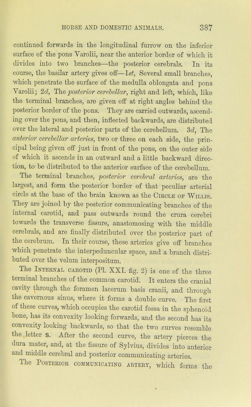 continued forwards in the longitudinal furrow on the inferior surface of the pons Varolii, near the anterior border of which it divides into two branches—the posterior cerebrals. In its course, the basilar artery gives off—1st, Several small branches, which penetrate the surface of the medulla oblongata and pons Varolii; 2d, The posterior cerebellar, right and left, which, like the terminal branches, are given off at right angles behind the posterior border of the pons. They are carried outwards, ascend- ing over the pons, and then, inflected backwards, are distributed over the lateral and posterior parts of the cerebellum. 3d, The anterior cerebellar arteries, two or three on each side, the prin- cipal being given off just in front of the pons, on the outer side of which it ascends in an outward and a little backward direc- tion, to' be distributed to the anterior surface of the cerebellum. The terminal branches, posterior cerebral arteries, are the largest, and form the posterior border of that peculiar arterial circle at the base of the brain known as the Circle op Willis. They are joined by the posterior communicating branches of the internal carotid, and pass outwards round the crura cerebri towards the transverse fissure, anastomosing with the middle cerebrals, and are finally distributed over the posterior part of the cerebrum. In their course, these arteries give off branches which penetrate the interpeduncular space, and a branch distri- buted over the velum interpositum. The Internal carotid (PI. XXI. fig. 2) is one of the three terminal branches of the common carotid. It enters the cranial cavity through the foramen lacerum basis cranii, and through the cavernous sinus, where it forms a double curve. The first of these curves, which occupies the carotid fossa in the sphenoid bone, has its convexity looking forwards, and the second has its convexity looking backwards, so that the two curves resemble the letter s. After the second curve, the artery pierces the dura mater, and, at the fissure of Sylvius, divides into anterior and middle cerebral and posterior communicating arteries. The Posterior communicating artery, which forms the