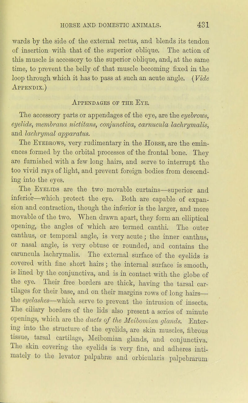 wards by the side of the external rectus, and blends its tendon of insertion with that of the superior oblique. The action of this muscle is accessory to the superior oblique, and, at the same time, to prevent the belly of that muscle becoming fixed in the loop through which it has to pass at such an acute angle. (Vide Appendix.) Appendages op the Eye. The accessory parts or appendages of the eye, are the eyebrows, eyelids, membrana nictitans, conjunctiva, carnucula lachrymalis, and lachrymal apparatus. The Eyebrows, very rudimentary in the Horse, are the emin- ences formed by the orbital processes of the frontal bone. They are furnished with a few long hairs, and serve to interrupt the too vivid rays of light, and prevent foreign bodies from descend- ing into the eyes. The Eyelids are the two movable curtains—superior and inferior—which protect the eye. Both are capable of expan- sion and contraction, though the inferior is the larger, and more movable of the two. When drawn apart, they form an elliptical opening, the angles of which are termed canthi. The outer canthus, or temporal angle, is very acute; the inner canthus, or nasal angle, is very obtuse or rounded, and contains the caruncula lachrymalis. The external surface of the eyelids is .covered with fine short hairs; the internal surface is smooth, is lined by the conjunctiva, and is in contact with the globe of the eye. Their free borders are thick, having the tarsal car- tilages for their base, and on their margins rows of long hairs the eyelashes—which serve to prevent the intrusion of insects. The ciliary borders of the lids also present a series of minute openings, which are the ducts of the Meibomian glands. Enter- ing into the structure of the eyelids, are skin muscles, fibrous tissue, tarsal cartilage, Meibomian glands, and conjunctiva. The skin covering the eyelids is very fine, and adheres inti- mately to the levator palpabrse and orbicularis palpebrarum