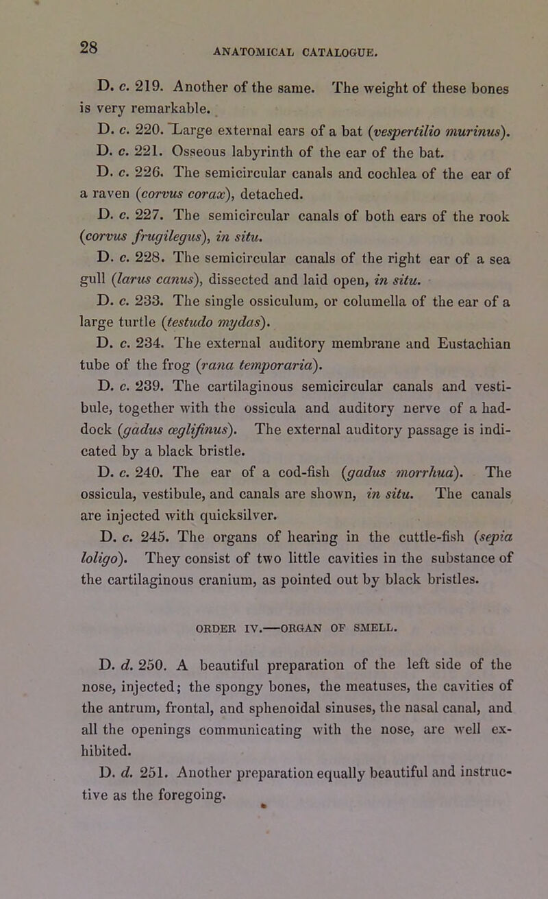 D. c. 219. Another of the same. The weight of these bones is very remarkable. D. c. 220. Large external ears of a bat (vespertilio murinus). D. c. 221. Osseous labyrinth of the ear of the bat. D. c. 226. The semicircular canals and cochlea of the ear of a raven (corvus corax), detached. D. c. 227. The semicircular canals of both ears of the rook (corvus frugilegus), in situ. D. c. 228. The semicircular canals of the right ear of a sea gull (larus canus), dissected and laid open, in situ. D. c. 233. The single ossiculum, or columella of the ear of a large turtle (testudo my das). D. c. 234. The external auditory membrane and Eustachian tube of the frog (rana temporarid). D. c. 239. The cartilaginous semicircular canals and vesti- bule, together with the ossicula and auditory nerve of a had- dock (gadus ceglifinus). The external auditory passage is indi- cated by a black bristle. D. c. 240. The ear of a cod-fish (gadus morrhua). The ossicula, vestibule, and canals are shown, in situ. The canals are injected with quicksilver. D. c. 245. The organs of hearing in the cuttle-fish (sepia loligo). They consist of two little cavities in the substance of the cartilaginous cranium, as pointed out by black bristles. ORDER IV. ORGAN OF SMELL. D. d. 250. A beautiful preparation of the left side of the nose, injected; the spongy bones, the meatuses, the cavities of the antrum, frontal, and sphenoidal sinuses, the nasal canal, and all the openings communicating with the nose, are well ex- hibited. D. d. 251. Another preparation equally beautiful and instruc- tive as the foregoing.