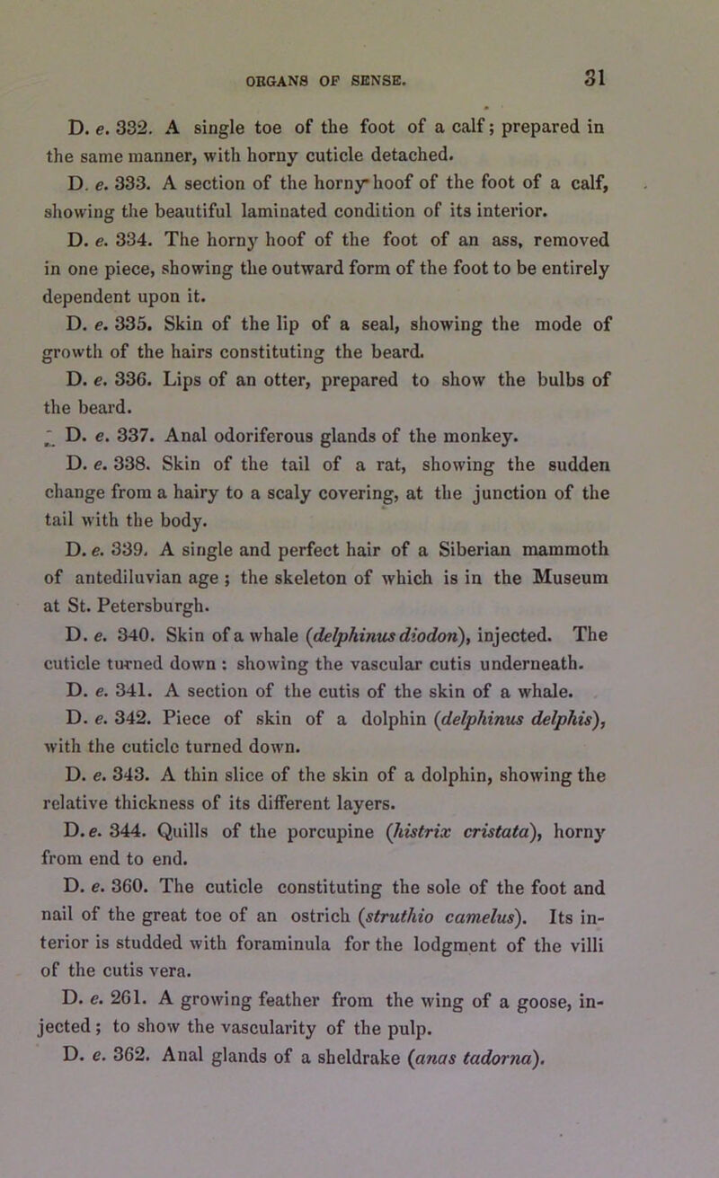 D. e. 332. A single toe of the foot of a calf; prepared in the same manner, with horny cuticle detached. D. e. 333. A section of the horny hoof of the foot of a calf, showing the beautiful laminated condition of its interior. D. e. 334. The horny hoof of the foot of an ass, removed in one piece, showing the outward form of the foot to be entirely dependent upon it. D. e. 335. Skin of the lip of a seal, showing the mode of growth of the hairs constituting the beard. D. e. 336. Lips of an otter, prepared to show the bulbs of the beard. ' D. e. 337. Anal odoriferous glands of the monkey. D. e. 338. Skin of the tail of a rat, showing the sudden change from a hairy to a scaly covering, at the junction of the tail with the body. D. e. 339, A single and perfect hair of a Siberian mammoth of antediluvian age ; the skeleton of which is in the Museum at St. Petersburgh. D. e. 340. Skin of a whale (delphinris diodori), injected. The cuticle turned down : showing the vascular cutis underneath. D. e. 341. A section of the cutis of the skin of a whale. D. e. 342. Piece of skin of a dolphin (delphinus delphis), with the cuticle turned down. D. e. 343. A thin slice of the skin of a dolphin, showing the relative thickness of its different layers. D. e. 344. Quills of the porcupine (liistrix cristata), horny from end to end. D. e. 360. The cuticle constituting the sole of the foot and nail of the great toe of an ostrich (struthio camelus). Its in- terior is studded with foraminula for the lodgment of the villi of the cutis vera. D. e. 261. A growing feather from the wing of a goose, in- jected ; to show the vascularity of the pulp. D. e. 362. Anal glands of a sheldrake (anas tadorna).