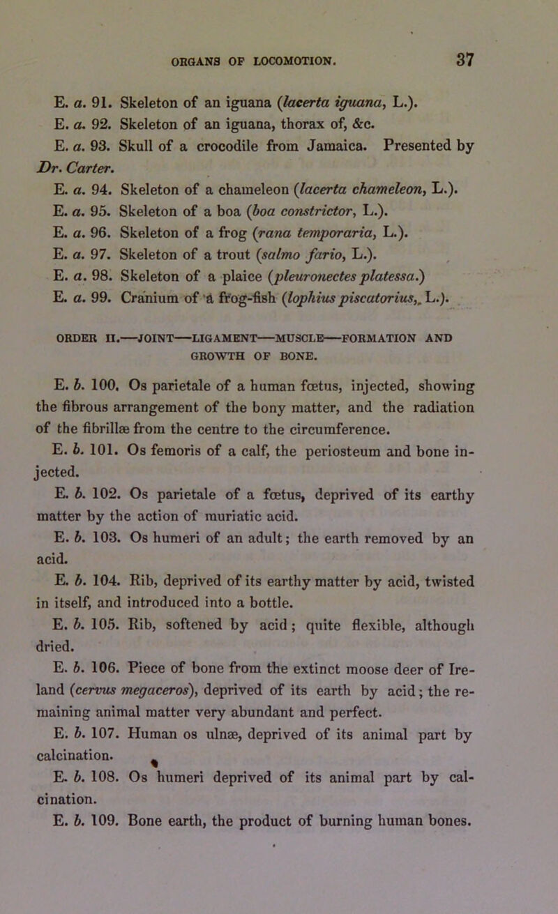 E. a. 91. Skeleton of an iguana (laeerta iguana, L.). E. a. 92. Skeleton of an iguana, thorax of, &c. E. a. 93. Skull of a crocodile from Jamaica. Presented by Dr. Carter. E. a. 94. Skeleton of a chameleon (laeerta chameleon, L.). E. a. 93. Skeleton of a boa (boa constrictor, L.). E. a. 96. Skeleton of a frog (rana temporaria, L.). E. a. 97. Skeleton of a trout (salmo fario, L.). E. a. 98. Skeleton of a plaice (pleurotiectes platessa.) E. a. 99. Cranium of a frog-fish (lophius piscatorius,, L.). ORDER II. JOINT LIGAMENT MUSCLE FORMATION AND GROWTH OF BONE. E. b. 100. Os parietale of a human foetus, injected, showing the fibrous arrangement of the bony matter, and the radiation of the fibrillae from the centre to the circumference. E. b. 101. Os femoris of a calf, the periosteum and bone in- jected. E. b. 102. Os parietale of a foetus, deprived of its earthy matter by the action of muriatic acid. E. b. 103. Os humeri of an adult; the earth removed by an acid. E. b. 104. Rib, deprived of its earthy matter by acid, twisted in itself, and introduced into a bottle. E. b. 105. Rib, softened by acid ; quite flexible, although dried. E. b. 106. Piece of bone from the extinct moose deer of Ire- land (cervus megaceros), deprived of its earth by acid; the re- maining animal matter very abundant and perfect. E. b. 107. Human os ulnae, deprived of its animal part by calcination. E. b. 108. Os humeri deprived of its animal part by cal- cination. E. b. 109. Bone earth, the product of burning human bones.