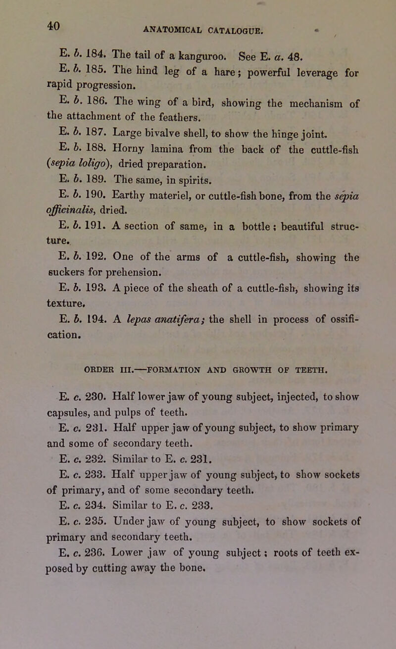 ANATOMICAL CATALOGUE. E. b. 184. The tail of a kanguroo. See E. a. 48. E. A. 185. Ihe hind leg of a hare; powerful leverage for rapid progression. E. b. 186. The wing of a bird, showing the mechanism of the attachment of the feathers. E. b. 187. Large bivalve shell, to show the hinge joint. E. b. 188. Horny lamina from the back of the cuttle-fish (sepia loligo), dried preparation. E. b. 189. The same, in spirits. E. b. 190. Earthy materiel, or cuttle-fishbone, from the sepia officinalis, dried. E. b. 191. A section of same, in a bottle; beautiful struc- ture. E. b. 192. One of the arms of a cuttle-fish, showing the suckers for prehension. E. b. 193. A piece of the sheath of a cuttle-fish, showing its texture. E. b. 194. A lepas anatifera; the shell in process of ossifi- cation. ORDER III. FORMATION AND GROWTH OF TEETH. E. c. 230. Half lower jaw of young subject, injected, to show capsules, and pulps of teeth. E. c. 231. Half upper jaw of young subject, to show primary and some of secondary teeth. E. c. 232. Similar to E. c. 231. E. c. 233. Half upper jaw of young subject, to show sockets of primary, and of some secondary teeth. E. c. 234. Similar to E. c. 233. E. c. 235. Under jaw of young subject, to show sockets of primary and secondary teeth. E. c. 236. Lower jaw of young subject; roots of teeth ex- posed by cutting away the bone.