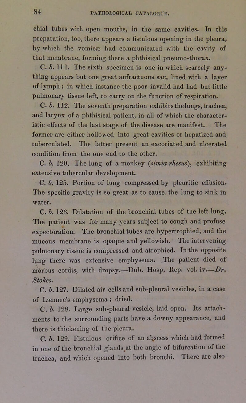 chial tubes with open mouths, in the same cavities. In this preparation, too, there appears a fistulous opening in the pleura, by which the vomicae had communicated with the cavity of that membrane, forming there a phthisical pneumo-thorax. C. b. 11 1. The sixth specimen is one in which scarcely any- thing appears but one great anfractuous sac, lined with a layer of lymph: in which instance the poor invalid had had but little pulmonary tissue left, to carry on the function of respiration. C. b. 112. The seventh preparation exhibits the lungs, trachea, and larynx of a phthisical patient, in all of which the character- istic effects of the last stage of the disease are manifest. The former are either hollowed into great cavities or liepatized and tuberculated. The latter present an excoriated and ulcerated condition from the one end to the other. C. b. 120. The lung of a monkey (simia rhesus), exhibiting extensive tubercular development. C. b. 125. Portion of lung compressed by pleuritic effusion. The specific gravity is so great as to cause the lung to sink in water. C. b. 126. Dilatation of the bronchial tubes of the left lung. The patient was for many years subject to cough and profuse % expectoration. The bronchial tubes are hypertrophied, and the mucous membrane is opaque and yellowish. The intervening pulmonary tissue is compressed and atrophied. In the opposite lung there M'as extensive emphysema. The patient died of morbus cordis, with dropsy.—Dub. Hosp. Rep. vol. iv—Dr. Stokes. C. b. 127. Dilated air cells and sub-pleural vesicles, in a case of Lsennec’s emphysema ; dried. C. b. 128. Large sub-pleural vesicle, laid open. Its attach- ments to the surrounding parts have a downy appearance, and there is thickening of the pleura. C. b. 129. Fistulous orifice of an abscess which had formed in one of the bronchial glands ^at the angle of bifurcation of the trachea, and which opened into both bronchi. There are also