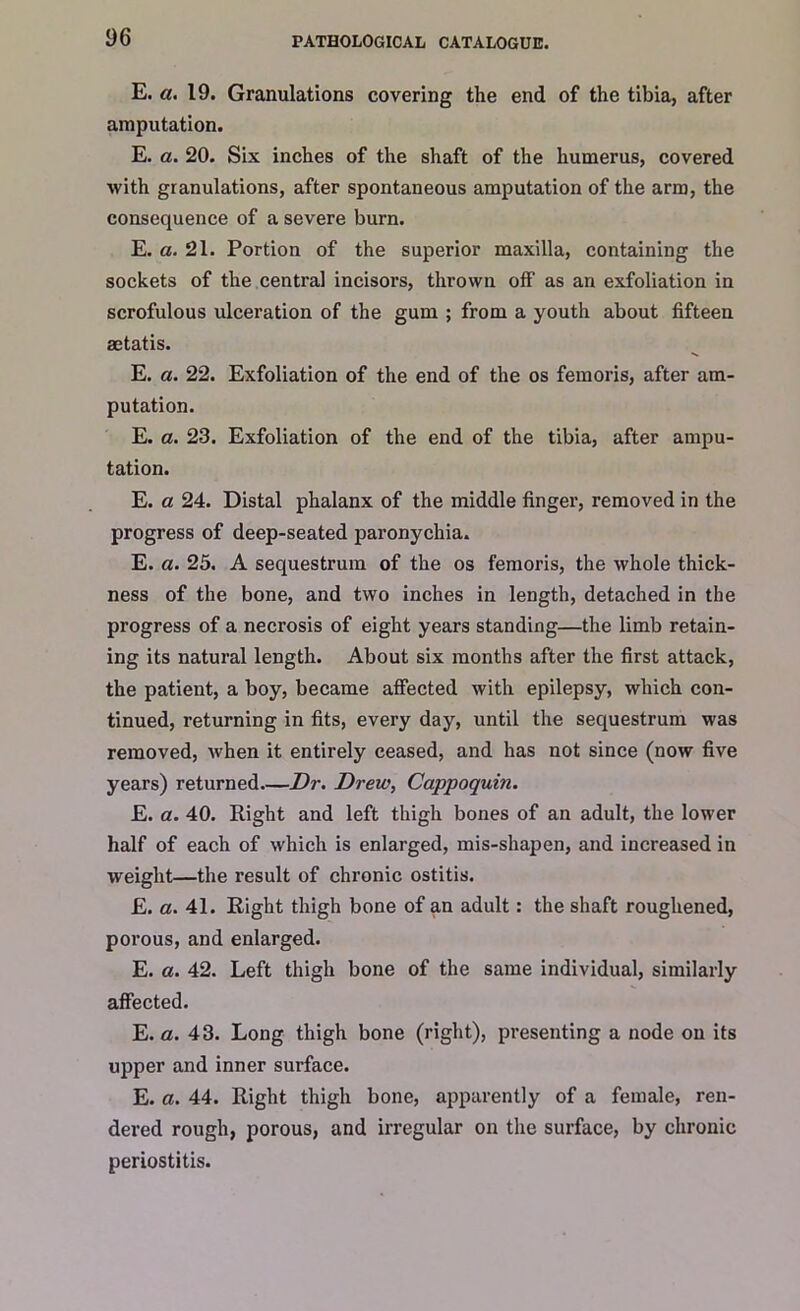 E. a. 19. Granulations covering the end of the tibia, after amputation. E. a. 20. Six inches of the shaft of the humerus, covered with granulations, after spontaneous amputation of the arm, the consequence of a severe burn. E. a. 21. Portion of the superior maxilla, containing the sockets of the central incisors, thrown off as an exfoliation in scrofulous ulceration of the gum ; from a youth about fifteen aetatis. E. a. 22. Exfoliation of the end of the os femoris, after am- putation. E. a. 23. Exfoliation of the end of the tibia, after ampu- tation. E. a 24. Distal phalanx of the middle finger, removed in the progress of deep-seated paronychia. E. a. 25. A sequestrum of the os femoris, the whole thick- ness of the bone, and two inches in length, detached in the progress of a necrosis of eight years standing—the limb retain- ing its natural length. About six months after the first attack, the patient, a boy, became affected with epilepsy, which con- tinued, returning in fits, every day, until the sequestrum was removed, when it entirely ceased, and has not since (now five years) returned—Dr. Drew, Cappoquin. E. a. 40. Right and left thigh bones of an adult, the lower half of each of which is enlarged, mis-shapen, and increased in weight—the result of chronic ostitis. E. a. 41. Right thigh bone of an adult: the shaft roughened, porous, and enlarged. E. a. 42. Left thigh bone of the same individual, similarly affected. E. a. 43. Long thigh bone (right), presenting a node on its upper and inner surface. E. a. 44. Right thigh bone, apparently of a female, ren- dered rough, porous, and irregular on the surface, by chronic periostitis.