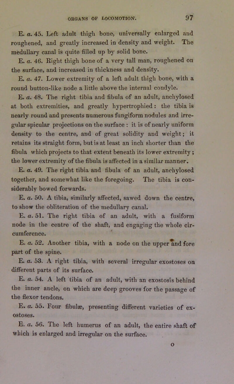 E. a. 45. Left adult thigh bone, universally enlarged and roughened, and greatly increased in density and weight. The medullary canal is quite filled up by solid bone. E. a. 46. Right thigh bone of a very tall man, roughened on the surface, and increased in thickness and density. E. a. 47. Lower extremity of a left adult thigh bone, with a round button-like node a little above the internal condyle. E. a. 48. The right tibia and fibula of an adult, anchylosed at both extremities, and greatly hypertrophied: the tibia is nearly round and presents numerous fungiform nodules and irre- gular spicular projections on the surface : it is of nearly uniform density to the centre, and of great solidity and weight; it retains its straight form, but is at least an inch shorter than the fibula which projects to that extent beneath its lower extremity ; the lower extremity of the fibula is affected in a similar manner. E. a. 49. The right tibia and fibula of an adult, anchylosed together, and somewhat like the foregoing. The tibia is con- siderably bowed forwards. E. a. 50. A tibia, similarly affected, sawed down the centre, to show the obliteration of the medullary canal. E. a. 51. The right tibia of an adult, with a fusiform node in the centre of the shaft, and engaging the whole cir- cumference. E. a. 52. Another tibia, with a node on the upper*nd fore part of the spine. E. a. 53. A right tibia, with several irregular exostoses on different parts of its surface. E. a. 54. A left tibia of an adult, with an exostosis behind the inner ancle, on which are deep grooves for the passage of the flexor tendons. E. a. 55. Four fibulae, presenting different varieties of ex- ostoses. E. a. 56. The left humerus of an adult, the entire shaft of which is enlarged and irregular on the surface. o