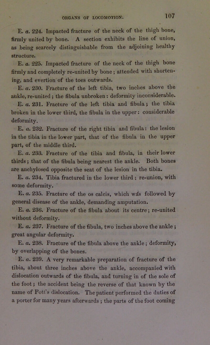 E. a. 224. Impacted fracture of the neck of the thigh bone, firmly united by bone. A section exhibits the line of union, as being scarcely distinguishable from the adjoining healthy structure. E. a. 225. Impacted fracture of the neck of the thigh bone firmly and completely re-united by bone; attended with shorten- ing, and evertion of the toes outwards. E. a. 230. Fracture of the left tibia, two inches above the ankle, re-united ; the fibula unbroken: deformity inconsiderable. E. a. 231. Fracture of the left tibia and fibula; the tibia broken in the lower third, the fibula in the upper: considerable deformity. E. a. 232. Fracture of the right tibia and fibula: the lesion in the tibia in the lower part, that of the fibula in the upper part, of the middle third. E. a. 233. Fracture of the tibia and fibula, in their lower thirds; that of the fibula being nearest the ankle. Both bones are anchylosed opposite the seat of the lesion in the tibia. E. a. 234. Tibia fractured in the lower third; re-union, with some deformity. E. a. 235. Fracture of the os calcis, which wds followed by general disease of the ankle, demanding amputation. E. a. 236. Fracture of the fibula about its centre; re-united without deformity. E. a. 237. Fracture of the fibula, two inches above the ankle ; great angular deformity. E. a. 238. Fracture of the fibula above the ankle; deformity, by overlapping of the bones. E. a. 239. A very remarkable preparation of fracture of the tibia, about three inches above the ankle, accompanied with dislocation outwards of the fibula, and turning in of the sole of the foot; the accident being the reverse of that known by the name of Pott’s dislocation. The patient performed the duties of a porter for many years afterwards ; the part6 of the foot coming