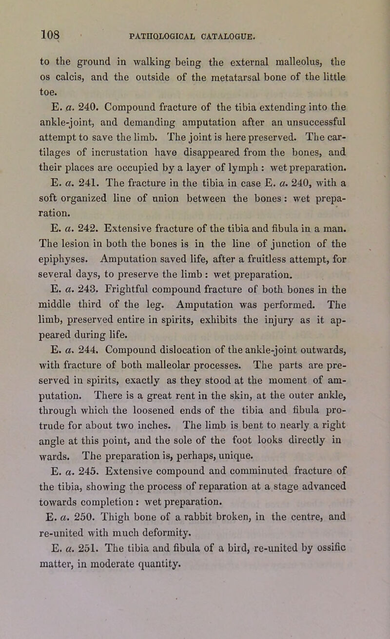 to the ground in walking being the external malleolus, the os calcis, and the outside of the metatarsal bone of the little toe. E. a. 240. Compound fracture of the tibia extending into the ankle-joint, and demanding amputation after an unsuccessful attempt to save the limb. The joint is here preserved. The car- tilages of incrustation have disappeared from the bones, and their places are occupied by a layer of lymph : wet preparation. E. a. 241. The fracture in the tibia in case E. a. 240, with a soft organized line of union between the bones : wet prepa- ration. E. a. 242. Extensive fracture of the tibia and fibula in a man. The lesion in both the bones is in the line of junction of the epiphyses. Amputation saved life, after a fruitless attempt, for several days, to preserve the limb : wet preparation. E. a. 243. Frightful compound fracture of both bones in the middle third of the leg. Amputation was performed. The limb, preserved entire in spirits, exhibits the injury as it ap- peared during life. E. a. 244. Compound dislocation of the ankle-joint outwards, with fracture of both malleolar processes. The parts are pre- served in spirits, exactly as they stood at the moment of am- putation. There is a great rent in the skin, at the outer ankle, through which the loosened ends of the tibia and fibula pro- trude for about two inches. The limb is bent to nearly a right angle at this point, and the sole of the foot looks directly in wards. The preparation is, perhaps, unique. E. a. 245. Extensive compound and comminuted fracture of the tibia, showing the process of reparation at a stage advanced towards completion : wet preparation. E. a. 250. Thigh bone of a rabbit broken, in the centre, and re-united with much deformity. E. a. 251. The tibia and fibula of a bird, re-united by ossific matter, in moderate quantity.