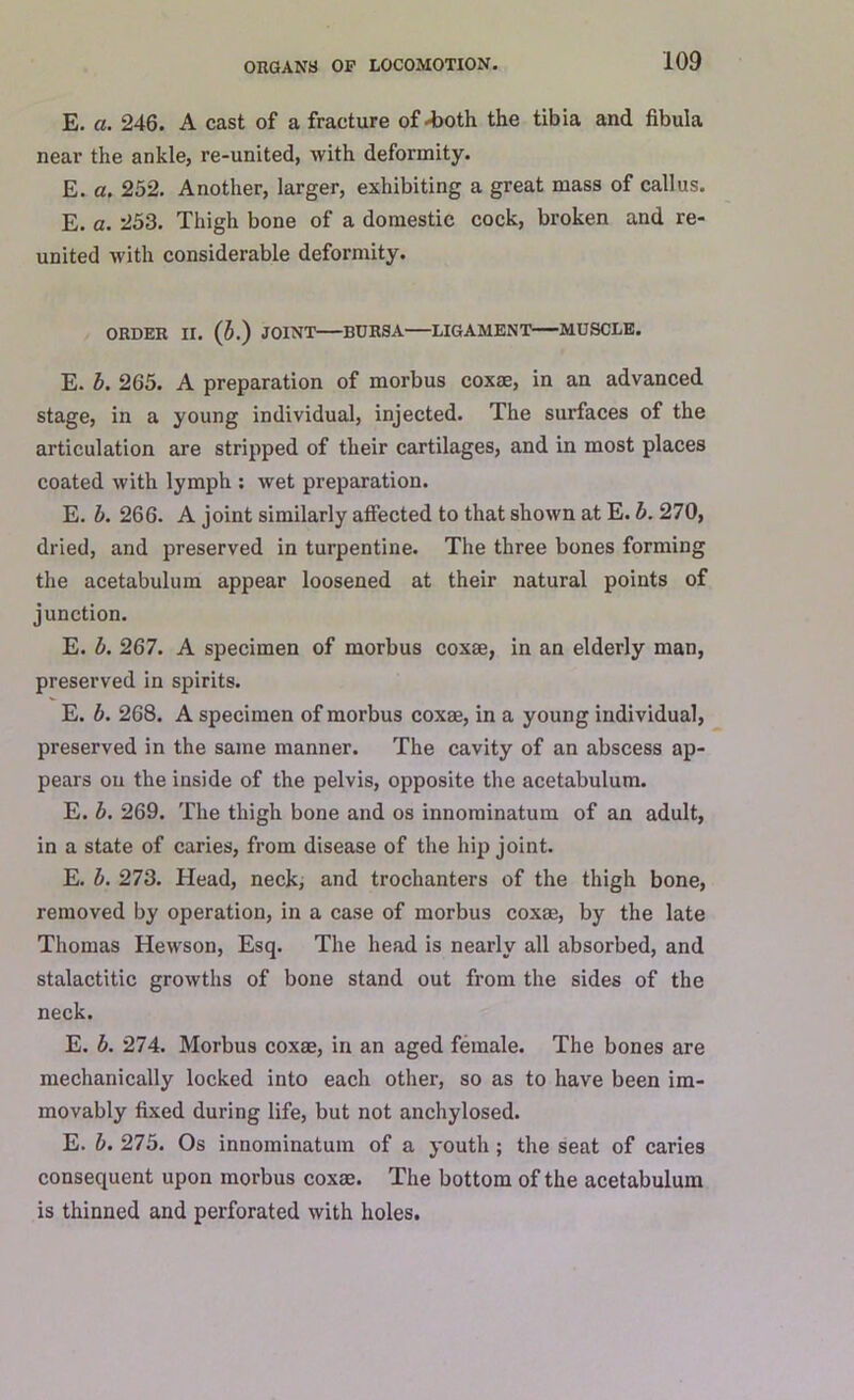 E. a. 246. A cast of a fracture of-both the tibia and fibula near the ankle, re-united, with deformity. E. a. 252. Another, larger, exhibiting a great mass of callus. E. a. 253. Thigh bone of a domestic cock, broken and re- united with considerable deformity. ORDER II. (5.) JOINT BURSA LIGAMENT MUSCLE. E. b. 265. A preparation of morbus coxae, in an advanced stage, in a young individual, injected. The surfaces of the articulation are stripped of their cartilages, and in most places coated with lymph : wet preparation. E. b. 266. A joint similarly affected to that shown at E. b. 270, dried, and preserved in turpentine. The three bones forming the acetabulum appear loosened at their natural points of junction. E. b. 267. A specimen of morbus coxae, in an elderly man, preserved in spirits. E. b. 268. A specimen of morbus coxae, in a young individual, preserved in the same manner. The cavity of an abscess ap- pears on the inside of the pelvis, opposite the acetabulum. E. b. 269. The thigh bone and os innominatum of an adult, in a state of caries, from disease of the hip joint. E. b. 273. Head, neck, and trochanters of the thigh bone, removed by operation, in a case of morbus coxae, by the late Thomas Hewson, Esq. The head is nearly all absorbed, and stalactitic growths of bone stand out from the sides of the neck. E. b. 274. Morbus coxae, in an aged female. The bones are mechanically locked into each other, so as to have been im- movably fixed during life, but not anchylosed. E. b. 275. Os innominatum of a youth ; the seat of caries consequent upon morbus coxae. The bottom of the acetabulum is thinned and perforated with holes.