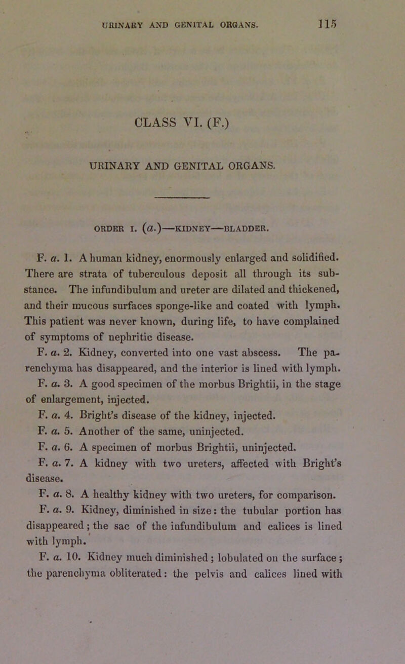 CLASS VI. (F.) URINARY AND GENITAL ORGANS. ORDER I. (a.) KIDNEY BLADDER. F. a. 1. A human kidney, enormously enlarged and solidified. There are strata of tuberculous deposit all through its sub- stance. The infundibulum and ureter are dilated and thickened, and their mucous surfaces sponge-like and coated with lymph. This patient was never known, during life, to have complained of symptoms of nephritic disease. F. a. 2. Kidney, converted into one vast abscess. The pa- renchyma has disappeared, and the interior is lined with lymph. F. a. 3. A good specimen of the morbus Brightii, in the stage of enlargement, injected. F. a. 4. Bright’s disease of the kidney, injected. F. a. 5. Another of the same, uninjected. F. a. 6. A specimen of morbus Brightii, uninjected. F. a. 7. A kidney with two ureters, affected with Bright’s disease. F. a. 8. A healthy kidney with two ureters, for comparison. F. a. 9. Kidney, diminished in size: the tubular portion has disappeared; the sac of the infundibulum and calices is lined « with lymph. F. a. 10. Kidney much diminished ; lobulated on the surface ; the parenchyma obliterated: the pelvis and calices lined with