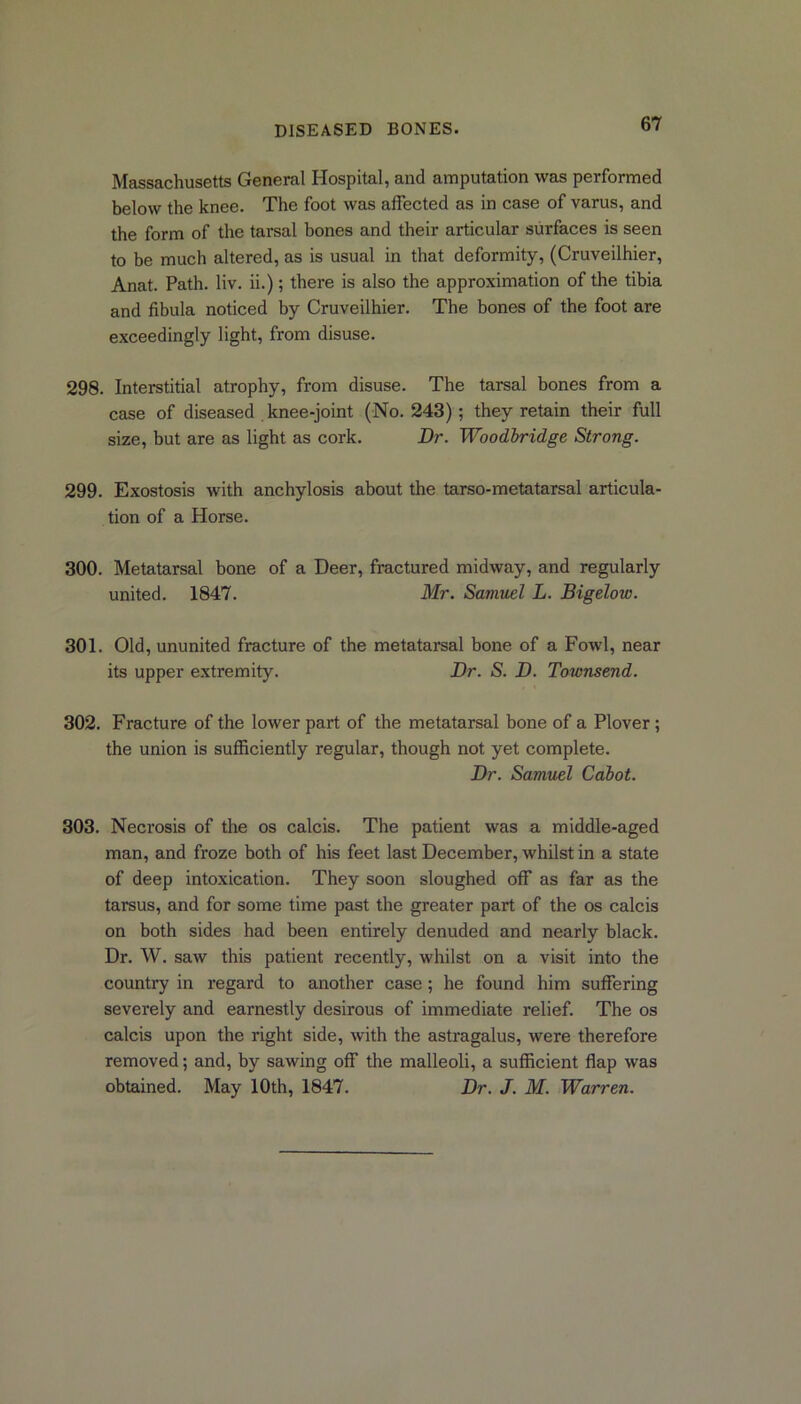 Massachusetts General Hospital, and amputation was performed below the knee. The foot was affected as in case of varus, and the form of the tarsal bones and their articular surfaces is seen to be much altered, as is usual in that deformity, (Cruveilhier, Anat. Path. liv. ii.); there is also the approximation of the tibia and fibula noticed by Cruveilhier. The bones of the foot are exceedingly light, from disuse. 298. Interstitial atrophy, from disuse. The tarsal bones from a case of diseased knee-joint (No. 243); they retain their full size, but are as light as cork. Dr. Woodbridge Strong. 299. Exostosis with anchylosis about the tarso-metatarsal articula- tion of a Horse. 300. Metatarsal bone of a Deer, fractured midway, and regularly united. 1847. Mr. Samuel L. Bigelow. 301. Old, ununited fracture of the metatarsal bone of a Fowl, near its upper extremity. Dr. S. D. Townsend. 302. Fracture of the lower part of the metatarsal bone of a Plover; the union is sufficiently regular, though not yet complete. Dr. Samuel Cabot. 303. Necrosis of the os calcis. The patient was a middle-aged man, and froze both of his feet last December, whilst in a state of deep intoxication. They soon sloughed off as far as the tarsus, and for some time past the greater part of the os calcis on both sides had been entirely denuded and nearly black. Dr. W. saw this patient recently, whilst on a visit into the country in regard to another case; he found him suffering severely and earnestly desirous of immediate relief. The os calcis upon the right side, with the astragalus, were therefore removed; and, by sawing off the malleoli, a sufficient flap was obtained. May 10th, 1847. Dr. J. M. Warren.