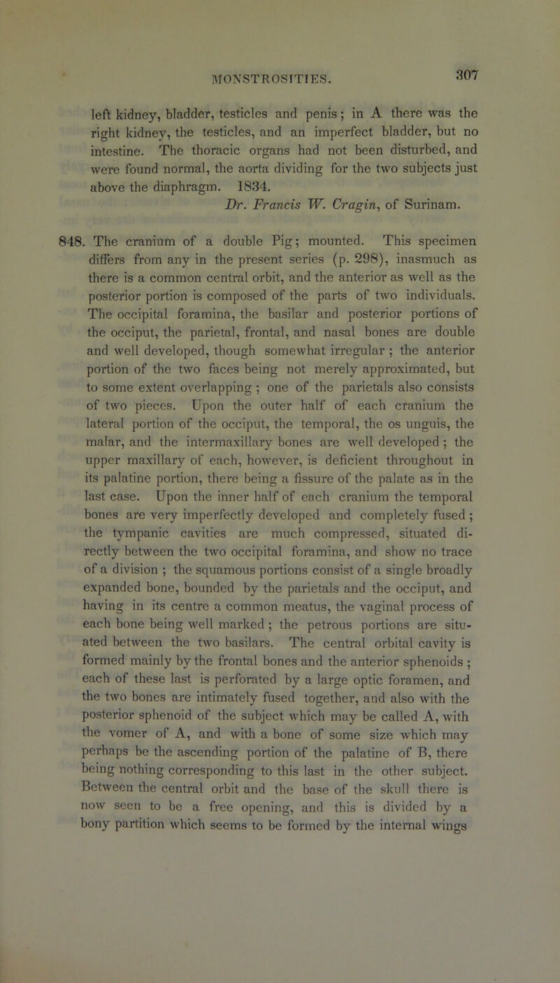 left kidney, bladder, testicles and penis; in A there was the right kidney, the testicles, and an imperfect bladder, but no intestine. The thoracic organs had not been disturbed, and were found normal, the aorta dividing for the two subjects just above the diaphragm. 1834. jDr. Francis W. Cragin, of Surinam. 848. The cranium of a double Pig; mounted. This specimen differs from any in the present series (p. 298), inasmuch as there is a common central orbit, and the anterior as well as the posterior portion is composed of the parts of two individuals. The occipital foramina, the basilar and posterior portions of the occiput, the parietal, frontal, and nasal bones are double and well developed, though somewhat irregular ; the anterior portion of the two faces being not merely approximated, but to some extent overlapping ; one of the parietals also consists of two pieces. Upon the outer half of each cranium the lateral portion of the occiput, the temporal, the os unguis, the malar, and the intermaxillary bones are well developed; the upper maxillary of each, however, is deficient throughout in its palatine portion, there being a fissure of the palate as in the last case. Upon the inner half of each cranium the temporal bones are very imperfectly developed and completely fused ; the tympanic cavities are much compressed, situated di- rectly between the two occipital foramina, and show no trace of a division ; the squamous portions consist of a single broadly expanded bone, bounded by the parietals and the occiput, and having in its centre a common meatus, the vaginal process of each bone being well marked; the petrous portions are situ- ated between the two basilars. The central orbital cavity is formed mainly by the frontal bones and the anterior sphenoids ; each of these last is perforated by a large optic foramen, and the two bones are intimately fused together, and also with the posterior sphenoid of the subject which may be called A, with the vomer of A, and with a bone of some size which may perhaps be the ascending portion of the palatine of B, there being nothing corresponding to this last in the other subject. Between the central orbit and the base of the skull there is now seen to be a free opening, and this is divided by a bony partition which seems to be formed by the internal wings
