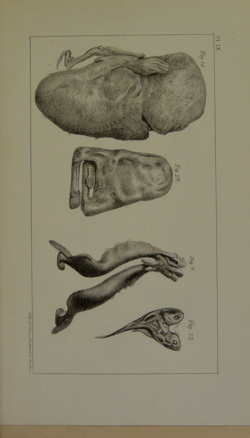 vrf’H CJJ>' •*‘*<•*44 V] JX.