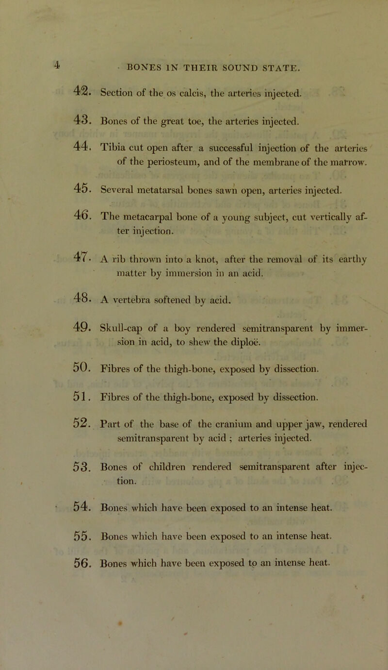 42. 43. 44. 45. 46. 47. 48. 49. 50. 51. 52. 53. 54. 55. 56. Section of the os calcls, tlie arteries injected. Bones of the great toe, the arteries injected. Tibia cut open after a successful injection of the arteries of the periosteum, and of the membrane of the marrow. Several metatarsal bones sawii open, arteries injected. The metacarpal bone of a young subject, cut vertically af- ter injection. A rib thrown into a knot, after the removal of its earthy matter by immersion in an acid. A vertebra softened by acid. Skull-cap of a boy rendered semitransparent by immer- sion in acid, to shew the diploe. Fibres of the thigh-bone, exposed by dissection. Fibres of the thigh-bone, exposed by dissection. Part of the base of the cranium and upper jaw, rendei'ed semitransparent by acid ; arteries injected. Bones of children rendered semitransparent after injec- tion. Bones which have been exposed to an intense heat. Bones which have been exposed to an intense heat. Bones which have been exposed tp an intense heat.