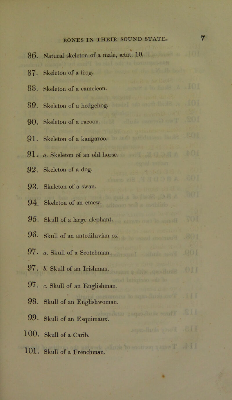 86. Natural skeleton of a male, aetat. 10. 87. Skeleton of a frog. 88. Skeleton of a camel eon. 89. Skeleton of a hedgehog. 90. Skeleton of a racoon. 91. Skeleton of a kangaroo. 91. a. Skeleton of an old horse. 92. Skeleton of a dog. 93. Skeleton of a swan. 94. Skeleton of an emew. 95. Skull of a large elephant. 96. Skull of an antediluvian ox. 97. a. Skull of a Scotchman. 97. b. Skull of an Irishman. 97. c. Skull of an Englishman. 98. SkuU of an Englishwoman. 99. Skull of an Esquimaux. 100. Skull of a Carib. 101. Skull of a Frenchman.