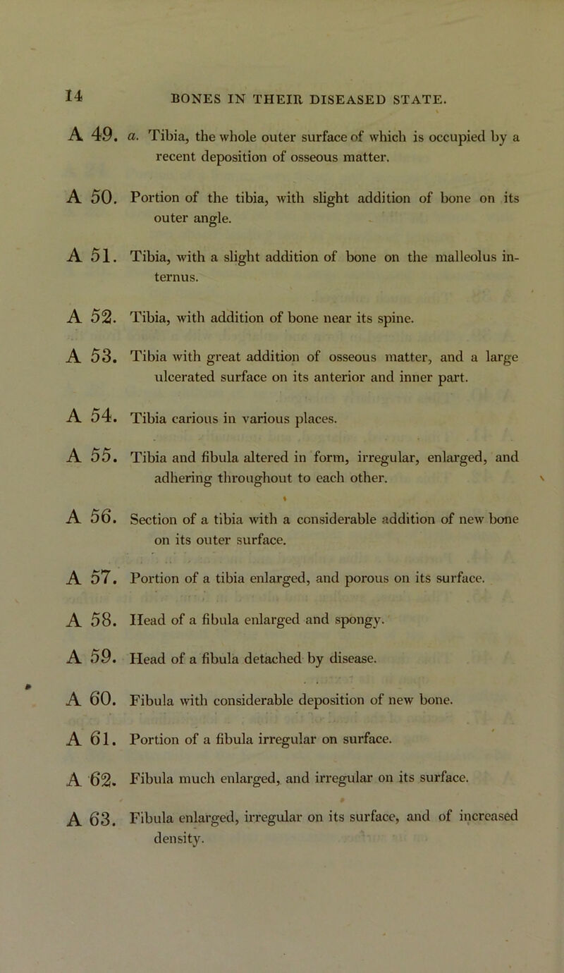 A 49. A 50. A 51. A 52. A 53. A 54. A 55. A 56. A 57. A 58. A 59. A 60. A 61. A 62. A 63. a. Tibia, the whole outer surface of which is occupied by a recent deposition of osseous matter. Portion of the tibia, with slight addition of bone on its outer angle. Tibia, with a sUght addition of bone on the malleolus in- ternus. Tibia, with addition of bone near its spine. Tibia Avith great addition of osseous matter, and a large ulcerated surface on its anterior and inner part. Tibia carious in various places. Tibia and fibula altered in form, irregular, enlarged, and adherinop throughout to each other. O O % Section of a tibia with a considerable addition of new bone on its outer surface. Portion of a tibia enlarged, and porous on its surface. Head of a fibula enlarged and spongy. Head of a fibula detached by disease. Fibula with considerable deposition of new bone. Portion of a fibula irregular on surface. Fibula much enlarged, and irregulai* on its surface. Fibula enlarged, irregular on its surface, and of increased density.