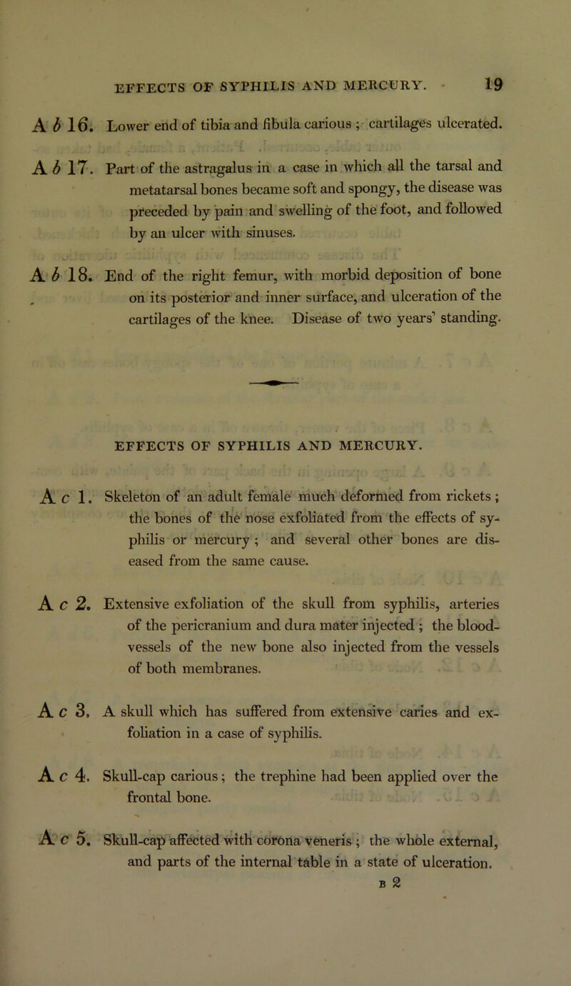 A 6 16, A 6 17. A ^l8. A c 1. Ac 2. Ac 8. Ac 4. A^c 5. Lower end of tibia and fibula carious ; cartilages ulcerated. Part of the astragalus in a case in which all the tarsal and metatarsal bones became soft and spongy, the disease was preceded by pain and swelling of the foot, and followed by an ulcer with sinuses. End of the right femur, with morbid deposition of bone on its posterior and inner surface, and ulceration of the cartilages of the knee. Disease of two years’ standing. EFFECTS OF SYPHILIS AND MERCURY. i, Skeleton of an adult female much deformed from rickets ; the bones of the nbse exfoliated from the effects of sy- philis or mercury; and several other bones are dis- eased from the same cause. Extensive exfoliation of the skull from syphilis, arteries of the pericranium and dura mater injected ; the blood- vessels of the new bone also injected from the vessels of both membranes. A skull which has suffered from extensive caries and ex- foliation in a case of syphilis. Skull-cap carious; the trephine had been applied over the frontal bone. SkuU-cap affected with cbruna veneris ; the whole external, and parts of the internal table in a state of ulceration. B 2