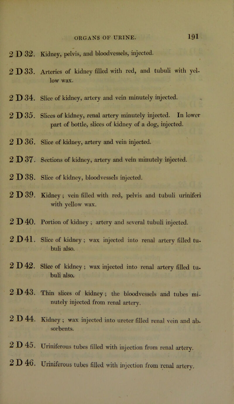 2 D 32. Kidney, pelvis, and bloodvessels, injected. 2D33. Arteries of kidney filled with red, and tubuli with yel- low wax. 2D 34. Slice of kidney, artery and vein minutely injected. 2 D 35. Slices of kidney, renal artery minutely injected. In lower part of bottle, sbces of kidney of a dog, injected. 2D 36. Slice of kidney, artery and vein injected. 2D 37. Sections of kidney, artery and vein minutely injected. 2D 38. Slice of kidney, bloodvessels injected. 2 D 39. Kidney; vein filled with red, pelvis and tubuli uriniferi with yellow wax. 2D40. Portion of kidney ; artery and several tubuli injected. 2D41. Slice of kidney; wax injected into renal artery filled tu- buli also. 2D 42. Slice of kidney; wax injected into renal artery filled tu- buli also. 2 D 43. Thin slices of kidney; the bloodvessels and tubes mi- nutely injected from renal artery. 2 D 44. Kidney ; wax injected into ureter filled renal vein and ab- sorbents. 2 D 45. Uriniferous tubes filled with injection from renal artery. 2 D 46. Uriniferous tubes filled with injection from renal artery.