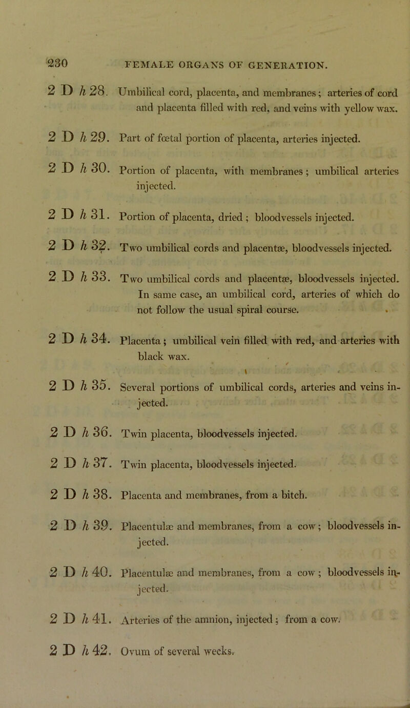 2 D /(28. 2 D A 29. 2 D A 30. 2 D A 31. 2 D A 32. 2 D A 33. 2 D A 34. 2 D A 35. 2 D A 36. 2 D A 37. 2 D A38. 2 D A 39. 2 D A 40. 2 D A 41. FEMALE ORGANS OF GENERATION. Umbilical cord, placenta, and membranes; arteries of cord and placenta filled with red, and veins with yellow wax. Part of foetal portion of placenta, arteries injected. Portion of placenta, with membranes; umbilical arteries injected. Portion of placenta, dried ; bloodvessels injected. Two umbilical cords and placentae, bloodvessels injected. Two umbilical cords and placentae, bloodvessels injected. In same case, an umbilical cord, arteries of which do not follow the usual spiral course. Placenta; umbilical vein fiUed wdth red, and arteries with black wax. \ . ' Several portions of umbilical cords, arteries and veins in- jected. Twin placenta, bloodvessels injected. Twin placenta, bloodvessels injected. Placenta and membranes, from a bitch. Placentulac and membranes, from a cow; bloodvessels in- jected. Placentulas and membranes, from a cow ; bloodvessels it\- Arteries of the amnion, injected ; from a cow. 2D h 42. Ovum of several weeks.