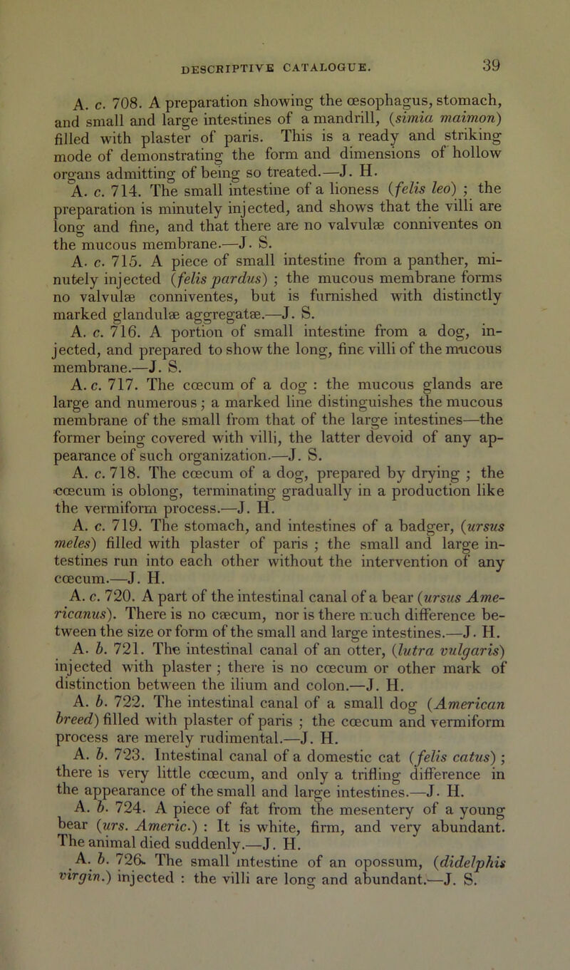 A. c. 708. A preparation showing the oesophagus, stomach, and small and large intestines of a mandrill, {simia maimon) filled with plaster of paris. This is a ready and striking mode of demonstrating the form and dimensions of hollow organs admitting of being so treated.—J. H. A. c. 714. The small intestine of a lioness {felis leo) ■ the preparation is minutely injected, and shows that the villi are long and fine, and that there are no valvulse conniventes on the mucous membrane.—J. S. A. c. 715. A piece of small intestine from a panther, mi- nutely injected {fells pardus) ; the mucous membrane forms no valvulse conniventes, but is furnished with distinctly marked glandulse aggregatse.—J. S. A. c. 716. A portion of small intestine from a dog, in- jected, and prepared to show the long, fine villi of the mucous membrane.—J. S. A. c. 717. The coecum of a dog : the mucous glands are large and numerous; a marked line distinguishes the mucous membrane of the small from that of the large intestines—the former being covered with villi, the latter devoid of any ap- pearance of such organization.—J. S. A. c. 718. The coscum of a dog, prepared by drying ; the 'Coscum is oblong, terminating gradually in a production like the vermiform process.—J. H. A. c. 719. The stomach, and intestines of a badger, (ursus meles) filled with plaster of paris ; the small and large in- testines run into each other without the intervention of any coecum.—J. H. A. c. 720. A part of the intestinal canal of a bear (ursus Ame- ricanus). There is no caecum, nor is there much difference be- tween the size or form of the small and large intestines.—J. H. A. b. 721. The intestinal canal of an otter, (lutra vulgaris) injected with plaster ; there is no coecum or other mark of distinction between the ilium and colon.—J. H. A. b. 722. The intestinal canal of a small dog (American breed) filled with plaster of paris ; the coecum and vermiform process are merely rudimental.—J. H. A. b. 723. Intestinal canal of a domestic cat (felis catus) ; there is very little coecum, and only a trifling difference in the appearance of the small and large intestines.—J. H. A. b. 724. A piece of fat from the mesentery of a young bear (urs. Americ.) : It is white, firm, and very abundant. The animal died suddenly.—J. H. A. b. 726>- The small intestine of an opossum, (didelphis virgin.) injected : the villi are long and abundant.—J. S.