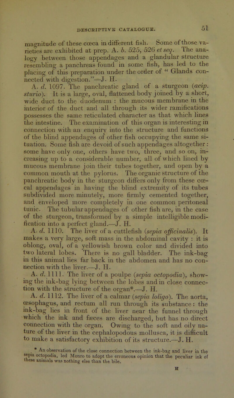magnitude of these coeca in different fish. Some of those va- riettes are exhibited at prep. A. h. 525, 526 et seq. The ana- logy between those appendages and a glandular structure resembling a panchreas found in some fish, has led to the placing of this preparation under the order of “ Glands con- nected with digestion.”—J. H. A. d. 1097. The panchreatic gland of a sturgeon {acip. sturio). It is a large, oval, flattened body joined by a short, wide duct to the duodenum : the mucous membrane in the interior of the duct and all through its wider ramifications possesses the same reticulated character as that which lines the intestine. The examination of this organ is interesting in connection with an enquii’y into the structure and functions of the blind appendages of other fish occupying the same si- tuation. Some fish are devoid of such appendages altogether: some have only one, others have two, three, and so on, in- creasing up to a considerable number, all of which lined by mucous membrane join their tubes together, and open by a common mouth at the pylorus. The organic structure of the panchreatic body in the sturgeon differs only from these coe- cal appendages in having the blind extremity of its tubes subdivided more minutely, more firmly cemented together, and enveloped more completely m one common peritoneal tunic. The tubular appendages of other fish are, in the case of the sturgeon, transformed by a simple intelligible modi- fication into a perfect gland.—J. H. A. d. 1110. The liver of a cuttlefish {sepia officinalis). It makes a very large, soft mass in the abdominal cavity : it is oblong, oval, of a yellowdsh brown color and divided into twm lateral lobes. There is no gall bladder. The ink-bag in this animal lies far back in the abdomen and has no con- nection with the liver.—J. H. A. d. 1111. The liver of a poulpe {sepia octopodia), show'- ing the ink-bag lying between the lobes and in close connec- tion with the structure of the organ*.—J. H. A. d. 1112. The liver of a calmar {sepia loligo). The aorta, msophagus, and rectum all run through its substance: the ink-bag lies in front of the liver near the funnel through which the ink and faeces are discharged, but has no direct connection with the organ. Owing to the soft and oily na- ture of the liver in the cephalopodous mollusca, it is difficult to make a satisfactory exhibition of its structure.—J. H. • An observation of the close connection between the ink-bag and liver in the sepia octopodia, led Monro to adopt the erroneous opinion that the peculiar ink of these animals was nothing else than the bile. H