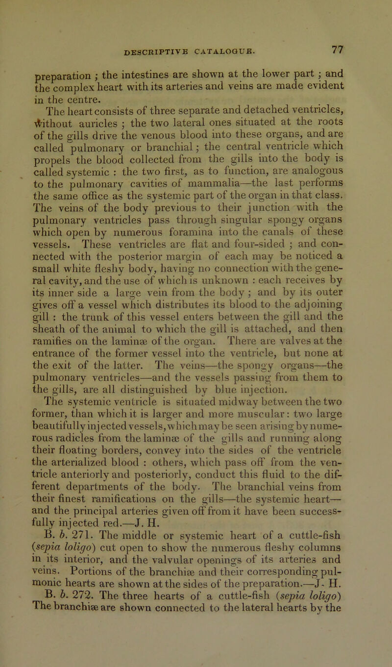 preparation ; the intestines are shown at the lower part; and the complex heart with its arteries and veins are made evident in the centre. The heart consists of three separate and detached ventricles, it^ithout auricles ; the two lateral ones situated at the roots of the g’ills drive the venous blood into these organs, and are called pulmonary or branchial; the central ventricle which propels the blood collected from the gills into the body is called systemic : the two first, as to function, are analogous to the pulmonary cavities of mammalia—the last performs the same office as the systemic part of the organ in that class. The veins of the body previous to their junction with the pulmonary ventricles pass through singular spongy organs which open by numerous foramina into the canals of these vessels. These ventricles are flat and four-sided ; and con- nected with the posterior margin of each may be noticed a small white fleshy body, having no connection with the gene- ral cavity, and the use of which is unknown : each receives by its inner side a large vein from the body ; and by its outer gives off a vessel which distributes its blood to the adjoining gill : the trunk of this vessel enters between the gill and the sheath of the animal to which the gill is attached, and then ramifies on the laminae of the organ. There are valves at the entrance of the former vessel into the ventricle, but none at the exit of the latter. The veins—the spongy organs—the pulmonary ventricles—and the vessels passing from them to the gills, are all distinguished by blue injection. The systemic ventricle is situated midway between the two former, than which it is laroer and more muscular: two large beautifully injected vessels, whichmay be seen arisingby nume- rous radicles from the laminae of the gills and running along their floating borders, convey into the sides of the ventricle the arterialized blood : others, which pass off from the ven- tricle anteriorly and posteriorly, conduct this fluid to the dif- ferent departments of the body. The branchial veins from their finest ramifications on the gills—the systemic heart— and the principal arteries given off from it have been success- fully injected red.—J. H. B. b. 271. The middle or systemic heart of a cuttle-fish {sepia loligo) cut open to show the numerous fleshy columns in its interior, and the valvular openings of its arteries and veins. Portions of the branchiae and their corresponding pul- monic hearts are shown at the sides of the preparation.—J- H. B. h. 272. The three hearts of a cuttle-fish {sepia loligo) The branchiae are shown connected to the lateral hearts bv the