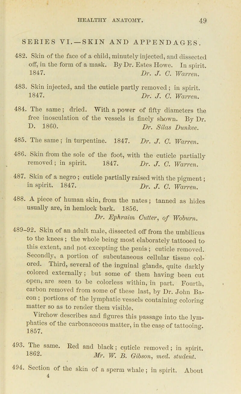 SERIES VI. — SKIN AND APPENDAGES. 482. Skin of tlie face of a child, minutely injected, and dissected off, in the form of a mask. By Dr. Estes Howe. In spirit. 1847. Dr. J. C. Warren. 483. Skin injected, and the cuticle partly removed ; in spirit. 1847. Dr. J. C. Warren. 484. The same; dried. With a power of fifty diameters the free inosculation of the vessels is finely shown. By Dr. D. 1860. Dr. Silas Dunkee. 485. The same; in turpentine. 1847. Dr. J. G. Warren. 486. Skin from the sole of the foot, with the cuticle partially removed; in spirit. 1847. Dr. J. C. Warren. 487. Skin of a negro ; cuticle partially raised with the pigment; in spirit. 1847. Dr. J. C. Warren. 488. A piece of human skin, from the nates; tanned as hides usually are, in hemlock bark. 1856. Dr. Ephraim Gutter, of Woburn. 489-92. Skin of an adult male, dissected off from the umbilicus to the knees ; the whole being most elaborately tattooed to this extent, and not excepting the penis ; cuticle removed. Secondly, a portion of subcutaneous cellular tissue col- ored. Third, several of the inguinal glands, quite darkly coloied externally; but some of them having been cut open, are seen to be colorless within, in part. Fourth, carbon removed from some of these last, by Dr. John Ba- con ; portions of the lymphatic vessels containing coloring matter so as to render them visible. Viichow describes and figures this ^>assage into the lym- phatics of the carbonaceous matter, in the case of tattooing;. 1857. 493. The same. Red and black; cuticle removed; in spirit. Mr. W. B. Gibson, med. student. 494. Section of the skin of a sperm whale; in spirit. About 4