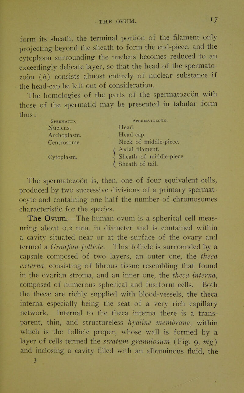form its sheath, the terminal portion of the filament only projecting beyond the sheath to form the end-piece, and the cytoplasm surrounding the nucleus becomes reduced to an exceedingly deHcate layer, so that the head of the spermato- zoon (h) consists ahnost entirely of nuclear substance if the head-cap be left out of consideration. The homologies of the parts of the spermatozoon with those of the spermatid may be presented in tabular form thus: Spermatid. Spermatozoon. Nucleus. Head. Archoplasm. Head-cap. Centrosome. Neck of middle-piece. ( Axial filament. Cytoplasm. ■< Sheath of middle-piece. I Sheath of tail. The spermatozoon is, then, one of four equivalent cells, produced by two successive divisions of a primary spermat- ocyte and containing one half the number of chromosomes characteristic for the species. The Ovum.—The human ovum is a spherical cell meas- uring about 0.2 mm. in diameter and is contained within a cavity situated near or at the surface of the ovary and termed a Graafian follicle. This follicle is surrounded by a capsule composed of two layers, an. outer one, the theca externa, consisting of fibrous tissue resembling that found in the ovarian stroma, and an inner one, the theca interna, composed of numerous spherical and fusiform cells. Both the thecse are richly supplied with blood-vessels, the theca interna especially being the seat of a very rich capillary network. Internal to the theca interna there is a trans- parent, thin, and structureless hyaline membrane, within which is the follicle proper, whose wall is formed by a layer of cells termed the stratum granulosum (Fig. 9, mg) and inclosing a cavity filled with an albuminous fluid, the 3