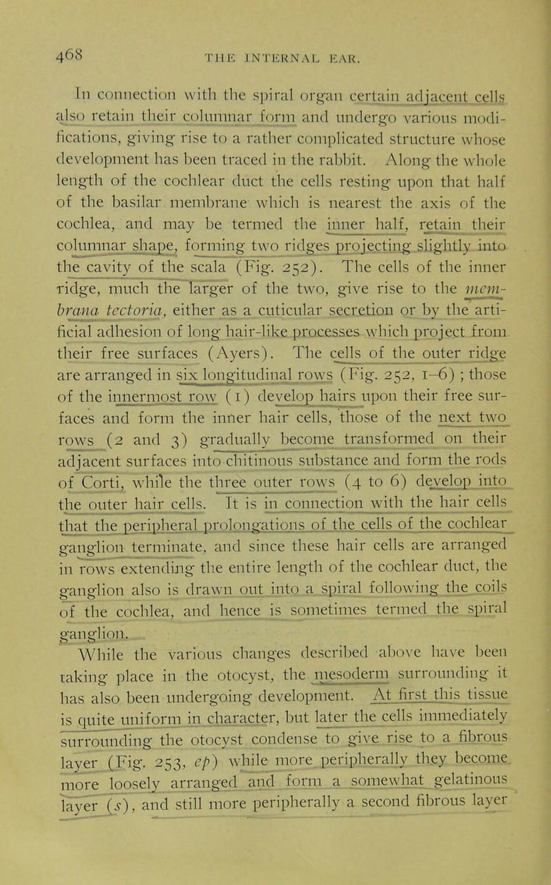 In connection with the spiral organ certain adjace.nt celb also retain their columnar forni and undergo various modi- fications, giving rise to a rather complicated structure whose development has been traced in the ral^bit. Along the whole length of the cochlear duct the cells resting upon that half of the basilar membrane which is nearest the axis of the cochlea, and may be termed the inner half, retain their columnar sha^e, forming two ridgesjgrojectmg.slightly into the cavity of the scala (Fig. 252). The cells of the inner ridge, much the lal-ger of the two, give rise to the mem- brana tectoria, either a^ a cuticular s.e;£xeliDn oi_ by the_arti- ficial adhesion of long hair-like processes whichj^roject from their free surfaces (Ayers). The cells of the outer rj_dge are arranged in six longitudinal rows (Fig. 252, 1-6) ; those of the innermost row (i) develop hairs upon their free sur- faces and form the inner hair cells, those of the next two rows (2 and 3) gradnallv 1)ecome transformed on their adjacent surfaces into chitinqus substance and form the rods of Corti, while the three outer row s (4 to 6) develop into the outer hair cells. It is hi connection with the hair cells that the periplieral prolongations of the cells of the cochlear ganglion terminate, and since these hair cells are arranged in rows extendijig the entire length of the cochlear duct, the ganglion also is drawn oj,itJnto„A-Sp.iral following; tl^ of the cochlea, and hence is sometimes termed the spiral ganglion. While the various changes described above have been raking place in the otocyst, the mesoderm surrounding it has also been undergoing development. At first this tissue is quite uniform m,character, but later the_cells immediately surrounding the otocyst condense to give ,rise to a^fiferous layer (Fig. 253, ep) whilejiiore, peripherally they become, more loosely arranged jind^form_ a somewhat gelatinous iayer^^and still more peripherally a second fibrous layer