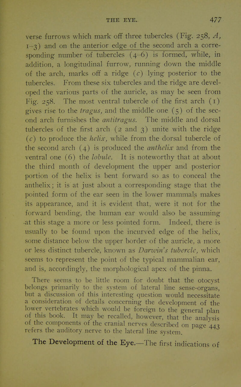 verse furrows which mark off three tubercles (Fig. 258, A, 1-3) and on the anterior edge of the second arch a corre- sponding number of tubercles (4-6) is formed, while, in addition, a longitudinal furrow, running down the middle of the arch, marks of¥ a ridge (c) lying posterior to the tubercles. From these six tubercles and the ridge are devel- oped the various parts of the auricle, as may be seen from Fig. 258. The most ventral tubercle of the first arch (i) gives rise to the tragus, and the middle one (5) of the sec- ond arch furnishes the antitragiis. The middle and dorsal tubercles of the first arch (2 and 3) unite with the ridge (c) to produce the helix, while from the dorsal tubercle of the second arch (4) is produced the anthelix and from the ventral one (6) the lobule. It is noteworthy that at about the third month of development the upper and posterior portion of the helix is bent forward so as to conceal the anthelix; it is at just about a corresponding stage that the pointed form of the ear seen in the lower mammals makes its appearance, and it is evident that, were it not for the forward bending, the human ear would also be assuming •at this stage a more or less pointed form. Indeed, there is usually to be found upon the incurved edge of the helix, some distance below the upper border of the auricle, a more or less distinct tubercle, known as Danmn's tubercle, which seems to represent the point of the typical mammalian ear, and is, accordingly, the morphological apex of the pinna. There seems to be little room for doubt that the otocyst belongs primarily to the system of lateral line sense-organs, but a discussion of this interesting question would necessitate a consideration of details concerning the development of the lower vertebrates which would be foreign to the general plan of this book. It may be recalled, however, that the analysis of the components of the cranial nerves described on page 447 refers the auditory nerve to the lateral line system. The Development of the Eye.—The first indications of