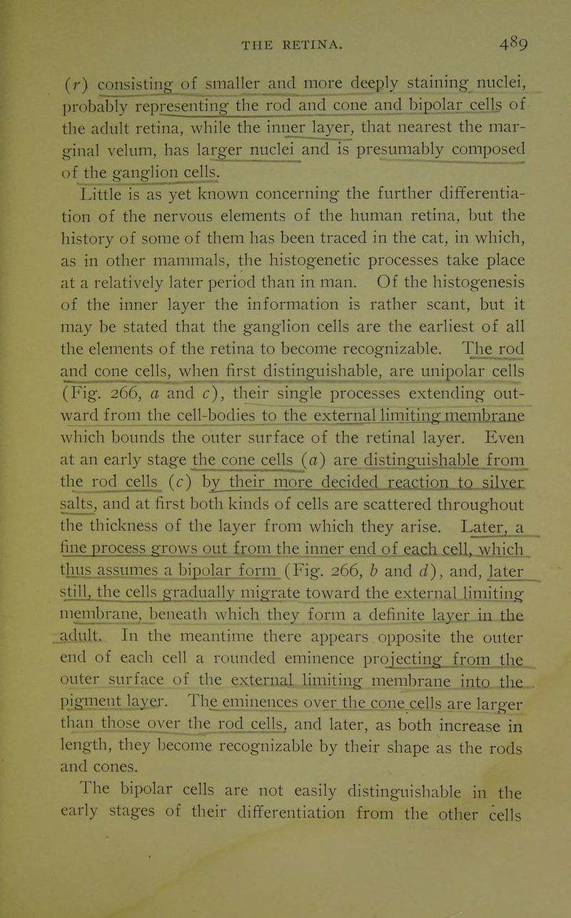 (r) consisting- of smaller and more deeply staining nuclei, probably representing the rod and cone and bipojar^^ of the adult retina, while the inner layer, that nearest the mar- ginal velum, has larger nuclei and is presumably composed of the ganglion cells. Little is as yet known concerning the further differentia- tion of the nervous elements of the human retina, but the history of some of them has been traced in the cat, in which, as in other mammals, the histogenetic processes take place at a relatively later period than in man. Of the histogenesis of the inner layer the information is rather scant, but it may be stated that the ganglion cells are the earliest of all the elements of the retina to become recognizable. The rod and cone cells, when first distinguishable, are unipolar cells (Fig. 266, a and c), their single processes extending out- ward froni_the^ell2bodies to the external limiting membrane which bounds the outer surface of the retinal layer. Even at an early stage the cone cells (a) are distingiushaWe J^^^^^ the rod cells (c) by their more decided reaction to silver salts, and at first both kinds of cells are scattered throughout the thickness of the layer from which they arise. Later, a fine process grows out from the inner end of„eadiXi&ll,.jyiiidi. thus assumes a bipolar form (Fig. 266, b and d), and, later stij], the cells gradually migrate toward the external Hniitin^ membrane, beneath which they form a definite layer-iii the .adiilt. In the meantime there appears. opposite the outer end of each cell a rounded eminence projecting from the outer surface of the external limiting membrane into the pigment layer. Thjeeipinences over the cone cells are larger than those over the rod cells, and later, as both increase in length, they become recognizable by their shape as the rods and cones. The bipolar cells are not easily distinguishable in the early stages of their differentiation from the other cells