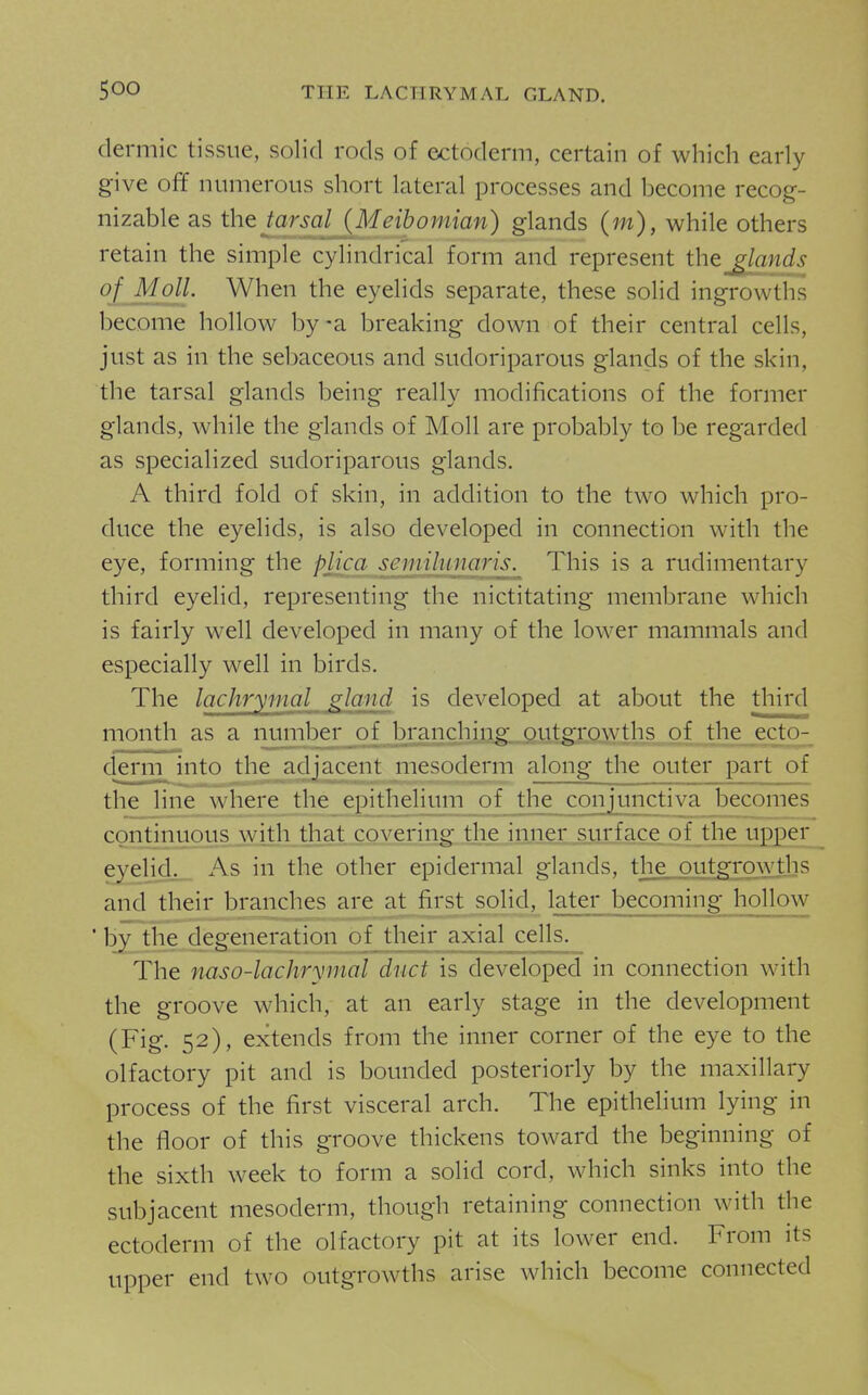 dermic tissue, solid rods of ectoderm, certain of which early give off numerous short lateral processes and become recog- nizable as the tarsal (Meibomian) glands (m), while others retain the simple cylindrical form and represent the glands of Moll. When the eyelids separate, these solid ingrowths become hollow by -a breaking down of their central cells, just as in the sebaceous and sudoriparous glands of the skin, the tarsal glands being really modifications of the former glands, while the glands of Moll are probably to be regarded as specialized sudoriparous glands. A third fold of skin, in addition to the two which pro- duce the eyelids, is also developed in connection with the eye, forming the pUca semihmaris. This is a rudimentary third eyelid, representing the nictitating membrane which is fairly well developed in many of the lower mammals and especially well in birds. The lachrymal gland is developed at about the third month as a number of 1)ranching outgrowtlis of the_ecto- derm into the adjacent mesoderm along the outer part of the line where the epithelium of the conjunctiva becomes continuous with that covering the injiex.surface. of the upper eyelid. As in the other epidermal glands, the outgrowths and their branches are at first solid, later becoming hollow * by; the degeneration of their axial cells. The naso-lacliryiiutl duct is developed in connection with the groove which, at an early stage in the development (Fig. 52), extends from the inner corner of the eye to the olfactory pit and is bounded posteriorly by the maxillary process of the first visceral arch. The epithelium lying in the floor of this groove thickens toward the beginning of the sixth week to form a solid cord, which sinks into the subjacent mesoderm, though retaining connection with the ectoderm of the olfactory pit at its lower end. From its upper end two outgrowths arise which become connected