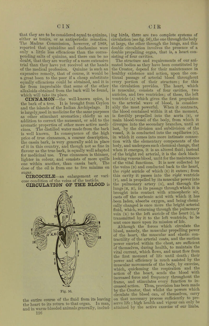 tliat they are to bo considered equal to qninine, either as tonics, or as antiperiodic remedies. The Madras Coninussion, however, of 1868, reported that quinidino and cinchonine were only a little less efficacious than the corres- ponding salts of quinine, and there can bo no doubt, that they are worthy of a more extensive trial than they have yet received at the hands of the medical profession. Quinine is such an expensive remedy, that of com-se, it would be a great boon to the poor if a cheap substitute equally efficacious could be obtained, and it is far from improbable that some of the other alkaloids obtained from the bark will be found, which will take its place. CINNAMON—the well-known spice, is the bark of a tree. It is brought from Ceylon and the islands of the Indian Archipelago. It is largely^used in medicine for the same purposes as other' stimulant aromatics; chiefly as an addition to correct the nauseant, or add to the aromatic properties of other more active medi- cines. The distilled water made from the bark is well known. In consequence of the high price of true cinnamon, a coarser description, the cassia bark, is very generally sold in place of it in this country, and though not so fine in flavour as the true bark, is equally well adapted for medicinal use. True cinnamon is thinner, lighter in colour, and consists of more quills one within another, than cassia bark. The dose of the oU is from one to five minims on sugar. CIRCOOELE—an enlargement or vari- cose condition of the veins of the testicle. CIRCUIiATION OF THE BLOOD is Kg. 56. the entire course of the fluid from its leaving the heart to its return to that organ. In man, and in warm-blooded animals generally, iuclud- 126 ing birds, there are two complete systems of circulation (see lig. 56), the one through the body at largo, the otlicr tlirough the lungs, and this double circulation involves tlie presence of a double propelling organ, that is, a heart con- sisting of four cavities. The structure and requirements of our ani- mated bodies as they have been constituted by the Creator, depend for their maintenance in healthy existence and action, upon the con- tinual passage of arterial blood throughout every portion of their structure; for tliis the circulation provides. The heart, which is muscular, consists of four cavities, two auricles, and two ventricles; of these, the left ventricle (a) which gives the first propulsion to the arterial wave of blood, is consider- ably the most powerful. When it contracts, the blood contained within it at the moment, is forcibly propelled into the aorta (b), or main blood-vessel of the body, from which it diverges into the secondary branches, until at last, by the division and subdivision of the vessel, it is conducted into the capillaries (c), in which it comes into more intimate connec- tion with the elementary components of the body, and undergoes such chemical change, that when it emerges, it is an altered fluid; instead of the bright red arterial, it is the dark black- looking venous blood, unfit for the maintenance of the vital functions. It is now collected by the veins (d) and conducted back to the heart, tlie 7-ight auricle of which (e) it enters; from this cavity it passes into the right ventricle (f), and is propelled by its muscular power into the pulmonary artery (g), and through the lungs (h, h), in its passage through which it is brought into contact with atmospheric air, casts off the carbonic acid with which it has • been laden, absorbs oxygen, and being cheini- cally changed is once more the bright arterial fluid, which, returning through the pulmonary vein (k) to the left auricle of the heart (i), is transmitted by it to the left ventricle, to be sent once more upon its mission of life. Although the forces which circulate the blood, namely, the muscular propelling power of the heart, the muscular and elastic con- tractility of the arterial coats, and the suction power exerted withiu the chest, are sirfficient of themselves, during health, to maintain the vital ciu-rent, which floAvs, and must flow from the first moment of life until death; their power and efficiency is much assisted by the muscular movements of the body, by exercise, which, quickening the respiration and the action of the heart, sends the blood with increased force and frequency throughout the frame, and stimulates every function to in- creased action. Thus, provision has been made by the Creator, that whilst the powers which circulate the blood can, of themselves, carry on that necessary process sufficiently to pre- serve life ; high health and vigour can only be attained by the active exercise of our limbs.