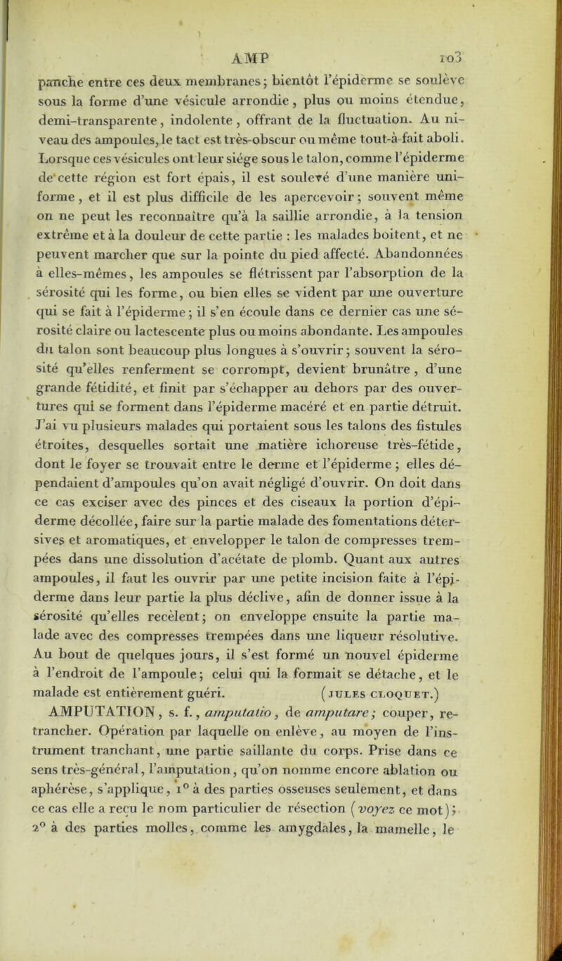 AMP xo3 panche entre ces deux membranes; bientôt l’épiderme se soulève sous la forme d’une vésicule arrondie, plus ou moins étendue, demi-transparente, indolente, offrant de la fluctuation. Au ni- veau des ampoules, le tact est très-obscur ou même tout-à fait aboli. Lorsque ces vésicules ont leur siège sous le t alon, comme l’épiderme de'cette région est fort épais, il est soulevé d’une manière uni- forme , et il est plus difficile de les apercevoir ; souvent même on ne peut les reconnaître qu’à la saillie arrondie, à la tension extrême et à la douleur de cette partie : les malades boitent, et ne peuvent marcher que sur la pointe du pied affecté. Abandonnées à elles-mêmes, les ampoules se flétrissent par l’absorption de la sérosité qui les forme, ou bien elles se vident par une ouverture qui se fait à l’épiderme ; il s’en écoule dans ce dernier cas une sé- rosité claire ou lactescente plus ou moins abondante. Les ampoules du talon sont beaucoup plus longues à s’ouvrir; souvent la séro- sité qu’elles renferment se corrompt, devient brunâtre , d’une grande fétidité, et finit par s’échapper au dehors par des ouver- tures qui se forment dans l’épiderme macéré et en partie détruit. J’ai vu plusieurs malades qui portaient sous les talons des fistules étroites, desquelles sortait une matière iclioreuse très-fétide, dont le foyer se trouvait entre le der me et l’épiderme ; elles dé- pendaient d’ampoules qu’on avait négligé d’ouvrir. On doit dans ce cas exciser avec des pinces et des ciseaux la portion d’épi- derme décollée, faire sur la partie malade des fomentations déter- sives et aromatiques, et envelopper le talon de compresses trem- pées dans une dissolution d’acétate de plomb. Quant aux autres ampoules, il faut les ouvrir par une petite incision faite à l’épi- derme dans leur partie la plus déclive, afin de donner issue à la sérosité qu’elles recèlent; on enveloppe ensuite la partie ma- lade avec des compresses trempées dans une liqueur résolutive. Au bout de quelques jours, il s’est formé un nouvel épiderme à l’endroit de l’ampoule ; celui qui la formait se détache, et le malade est entièrement guéri. (jules cloquet.) AMPUTATION, s. f., amputatio, de amputare; couper, re- trancher. Opération par laquelle on enlève, au moyen de l’ins- trument tranchant, une partie saillante du corps. Prise dans ce sens très-général, l’amputation, qu’on nomme encore ablation ou aphérèse, s’applique, x° à des parties osseuses seulement, et dans ce cas elle a reçu le nom particulier de résection ( voyez ce mot ) '■> 2° à des parties molles, comme les amygdales, la mamelle, le