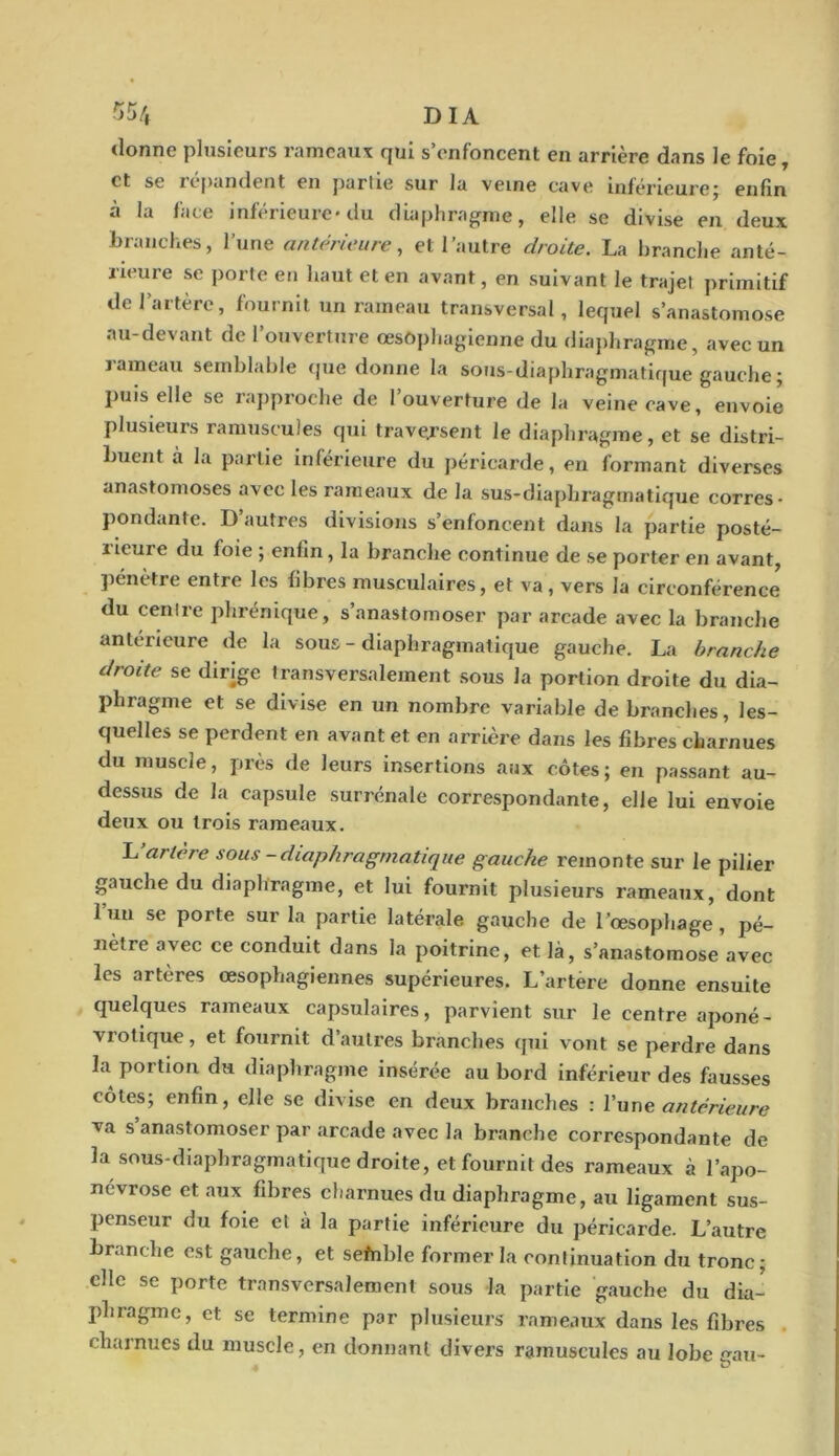 55/» DIA donne plusieurs rameaux qui s’enfoncent en arrière dans le foie , et se répandent en partie sur la veine cave inférieurej enfin à la face inférieure* du diaphragme, elle se divise en deux branches, l’une antérieure, et l’autre droite. La branche anté- rieure se porte en haut et en avant, en suivant le trajet primitif de l’artère, fournit un rameau transversal, lequel s’anastomose au-devant de l’ouverture œsophagienne du diaphragme, avec un rameau semblable que donne la sous-diaphragmatique gauche ; puis elle se rapproche de l’ouverture de la veine cave, envoie plusieurs ramuscules qui traversent le diaphragme, et se distri- buent à la partie inférieure du péricarde, en formant diverses anastomoses avec les rameaux de la sus-diaphragmatique corres- pondante. D’autres divisions s’enfoncent dans la partie posté- rieure du foie ; enfin, la branche continue de se porter en avant, pénètre entre les fibres musculaires, et va, vers la circonférence du centre phrénique, s’anastomoser par arcade avec la branche antérieure de la sous - diaphragmatique gauche. La branche droite se dirige transversalement sous la portion droite du dia- phragme et se divise en un nombre variable de branches, les- quelles se perdent en avant et en arrière dans les fibres charnues du muscle, près de leurs insertions aux côtes; en passant au- dessus de la capsule surrénale correspondante, elle lui envoie deux ou trois rameaux. L'artère sous -diaphragmatique gauche remonte sur le pilier gauche du diaphragme, et lui fournit plusieurs rameaux, dont l’uu se porte sur la partie latérale gauche de l'œsophage, pé- nètre avec ce conduit dans la poitrine, et là, s’anastomose avec les artères œsophagiennes supérieures. L’artere donne ensuite quelques rameaux capsulaires, parvient sur le centre aponé- vrotique, et fournit d’autres branches qui vont se perdre dans la portion du diaphragme insérée au bord inférieur des fausses côtes; enfin, elle se divise en deux branches : l’une antérieure va s anastomoser par arcade avec la branche correspondante de la sous-diaphragmatique droite, et fournit des rameaux à l’apo- névrose et aux fibres charnues du diaphragme, au ligament sus- penseur du foie et à la partie inférieure du péricarde. L’autre branche est gauche, et sefnble former la continuation du tronc; elle se porte transversalement sous la partie gauche du dia- phragme, et se termine par plusieurs rameaux dans les fibres charnues du muscle, en donnant divers ramuscules au lobe .au-