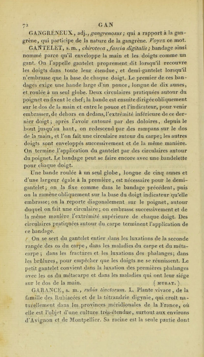 GANGRÉNEUX, aà.]., gangrenosus; qui a rapport à la gan- grène, qui participe de la nature de la gangrène, Foyez ce mot. GANTELET, s. m., chiroteca ^fascia dîgitalis ; bandage ainsi nommé parce qu’il enveloppe la main et les doigts comme un gant. On l’appelle gantelet proprement dit lorsqu’il recouvre les doigts dans toute leur étendue, et demi-gantelet lorsqu’il n’embrasse que la base de chaque doigt. Le premier de ces ban- dages exige une bande large d’un pouce, longue de dix aunes, et roulée à un seul globe. Deux circulaires pratiquées autour du poignet en fixent le chef; la bande est ensuite dirigée obliquement sur le dos de la main et entre le pouce et l’indicateur, pour venir embrasser, de dehors en dedans, l’extrémité Inférieure de ce der- nier doigt ; après l’avoir entouré par des doloires, depuis le bout jusqu’au haut, on redescend par des rampans sur le dos de la main, et l’on fait une circulaire autour du carpe; les autres doigts sont enveloppés successivement et de la même manière. On termine l’application du gantelet par des circulaires autour du poignet. Le bandage peut se faire encore avec une bandelette pour chaque doigt. Une bande roulée à un seul globe, longue de cinq aunes et d’une largeur égale à la première , est nécessaire pour le demi- gantelet; on la fixe comme dans le bandage précédent, puis on la ramène obliquement sur la base du doigt indicateur qu’elle embrasse; on la reporte diagonalement sur le poignet, autour duquel on fait une circulaire ; on embrasse successivement et de la mcrae manière l’extrémité supérieure de chaque doigt. Des circulaires pratiquées autour du carpe terminent l’application de ce bandage. r On se sert du gantelet entier dans les luxations de la seconde rangée des os du carpe, dcins les maladies du carpe et du méta- carpe ; dans les fractures et les luxations des phalanges; dans les brûlures, pour empêcher que les doigts ne se réunissent. Le petit gantelet convient dans la luxation des premières phalanges avec les os du métacarpe et dans les maladies qui ont leur siège sur le dos de la main. ( mürat. ) GAR.ANCE, s. m., ruhia tinctorurn. L, Plante vivace, de la famille des Rubiacées et de la télrandrle digynie, qui croît na- turellement dans les provinces méridionales de la France, où elle est l’objet d’une culture Irèp-étendue, surtout aux environs d’Avignon et de Montpellier. Sa racine est la seule partie dont