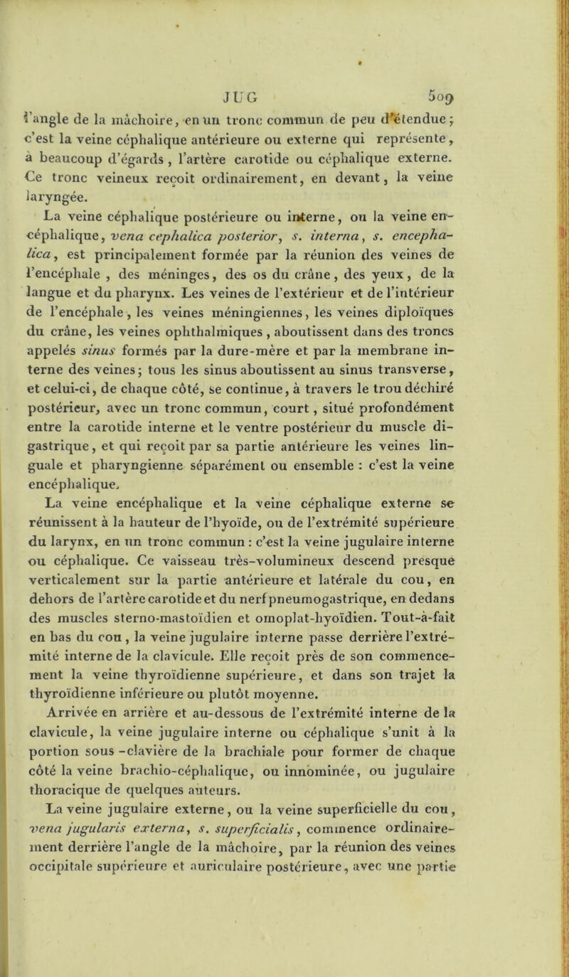 i’angle de la mâchoire, en un tronc commun de peu d’'élendue; c’est la veine céphalique antérieure ou externe qui représente, à beaucoup d’égards , l’artère carotide ou céphalique externe. Ce tronc veineux reçoit ordinairement, en devant, la veine laryngée. La veine céphalique postérieure ou Interne, on la veine en- céphalique, venu cephalica posterior, s. interna, s. encepha- lica, est principalement formée par la réunion des veines de l’encéphale , des méninges, des os du crâne, des yeux, de la langue et du pharynx. Les veines de l’extérieur et de l’intérieur de l’encéphale , les veines méningiennes, les veines diploïques du crâne, les veines ophthalraiques , aboutissent dans des troncs appelés sinus formés par la dure-mère et par la membrane in- terne des veines; tous les sinus aboutissent au sinus transverse, et celui-ci, de chaque côté, se continue, à travers le trou déchiré postérieur, avec un tronc commun, court, situé profondément entre la carotide interne et le ventre postérieur du muscle di- gastrique , et qui reçoit par sa partie antérieure les veines lin- guale et pharyngienne séparément ou ensemble : c’est la veine encéphalique. La veine encéphalique et la veine céphalique externe se réunissent à la hauteur de l’hyoïde, ou de l’extrémité supérieure du larynx, en un tronc commun : c’est la veine jugulaire interne ou céphalique. Ce vaisseau très-volumineux descend presque verticalement sur la partie antérieure et latérale du cou, en dehors de l’artère carotide et du nerf pneumogastrique, en dedans des muscles sterno-mastoïdien et ornoplat-hyoïdien. Tout-à-fall en bas du cou , la veine jugulaire interne passe derrière l’extré- mité interne de la clavicule. Elle reçoit près de son commence- ment la veine thyroïdienne supérieure, et dans son trajet la thyroïdienne inférieure ou plutôt moyenne. Arrivée en arrière et au-dessous de l’extrémité interne de la clavicule, la veine jugulaire Interne ou céphalique s’unit à la portion sous -clavlère de la brachiale pour former de chaque côté la veine brachio-céphallque, ou innbminée, ou jugulaire thoracique de cjuelques auteurs. La veine jugulaire externe, ou la veine superficielle du cou, lyena jugularis externa, s. supcrficialis, commence ordinaire- ment derrière l’angle de la mâchoire, par la réunion des veines occipitale supérieure et auriculaire postérieure, avec une p.aTtie