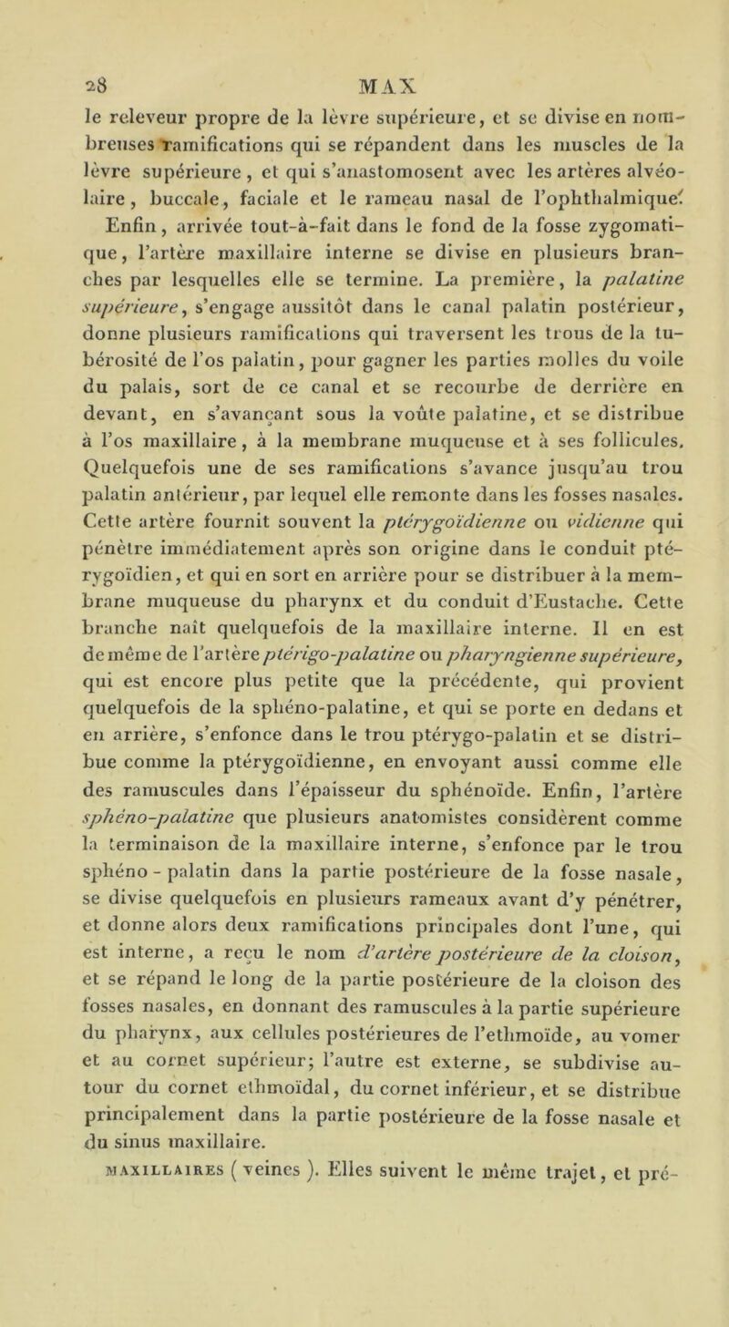 le releveur propre de la lèvre supérieure, et se divise en nom- breuses Ramifications qui se répandent dans les muscles de la lèvre supérieure , et qui s’anastomosent avec les artères alvéo- laire , buccale, faciale et le rameau nasal de l’ophtlialmique' Enfin, arrivée tout-à-fait dans le fond de la fosse zygomati- que , l’artèi’e maxillaire interne se divise en plusieurs bran- ches par lesquelles elle se termine. La première, la palatine supérieure^ s’engage axzssitôt dans le canal palatin postérieur, donne plusieurs ramifications qui traversent les trous de la tu- bérosité de l’os palatin, pour gagner les parties molles du voile du palais, sort de ce canal et se recourbe de derrière en devant, en s’avançant sous la voûte palatine, et se distribue à l’os maxillaire, à la membrane muqueuse et à ses follicules. Quelquefois une de ses ramifications s’avance jusqu’au ti'ou palatin antérieur, par lequel elle remonte dans les fosses nasales. Cette artère fournit souvent la ptcrygoïdienne ou vidienne qui pénètre immédiatement après son origine dans le conduit pté- rygoïdien, et qui en sort en arrière pour se distribuer à la mem- brane muqueuse du pharynx et du conduit d’Kustache. Cette branche naît quelquefois de la maxillaire interne. Il en est demême de VsLTlkveptérigo-palatine ou pharyngienne supérieure, qui est encore plus petite que la précédente, qui provient quelquefois de la sphéno-palatine, et qui se porte en dedans et en arrière, s’enfonce dans le trou ptérygo-palatin et se distri- bue comme la ptérygoïdienne, en envoyant aussi comme elle des ramuscules dans l’épaisseur du sphénoïde. Enfin, l’artère sphéno-palatine que plusieurs anatomistes considèrent comme la terminaison de la maxillaire interne, s’enfonce par le trou sphéno - palatin dans la partie postérieure de la fosse nasale, se divise quelquefois en plusieurs rameaux avant d’y pénétrer, et donne alors deux ramifications principales dont l’une, qui est interne, a reçu le nom d’artère postérieure de la cloison, et se répand le long de la partie postérieure de la cloison des fosses nasales, en donnant des ramuscules à la partie supérieure du pharynx, aux cellules postérieures de l’ethmoïde, au vomer et au cornet supérieur; l’autre est externe, se subdivise au- tour du cornet ethmoïdal, du cornet inférieur, et se distribue principalement dans la partie postérieure de la fosse nasale et du sinus maxillaire. w.vxiLLAiRES ( vcines ). Elles suivent le même trajet, et pré-