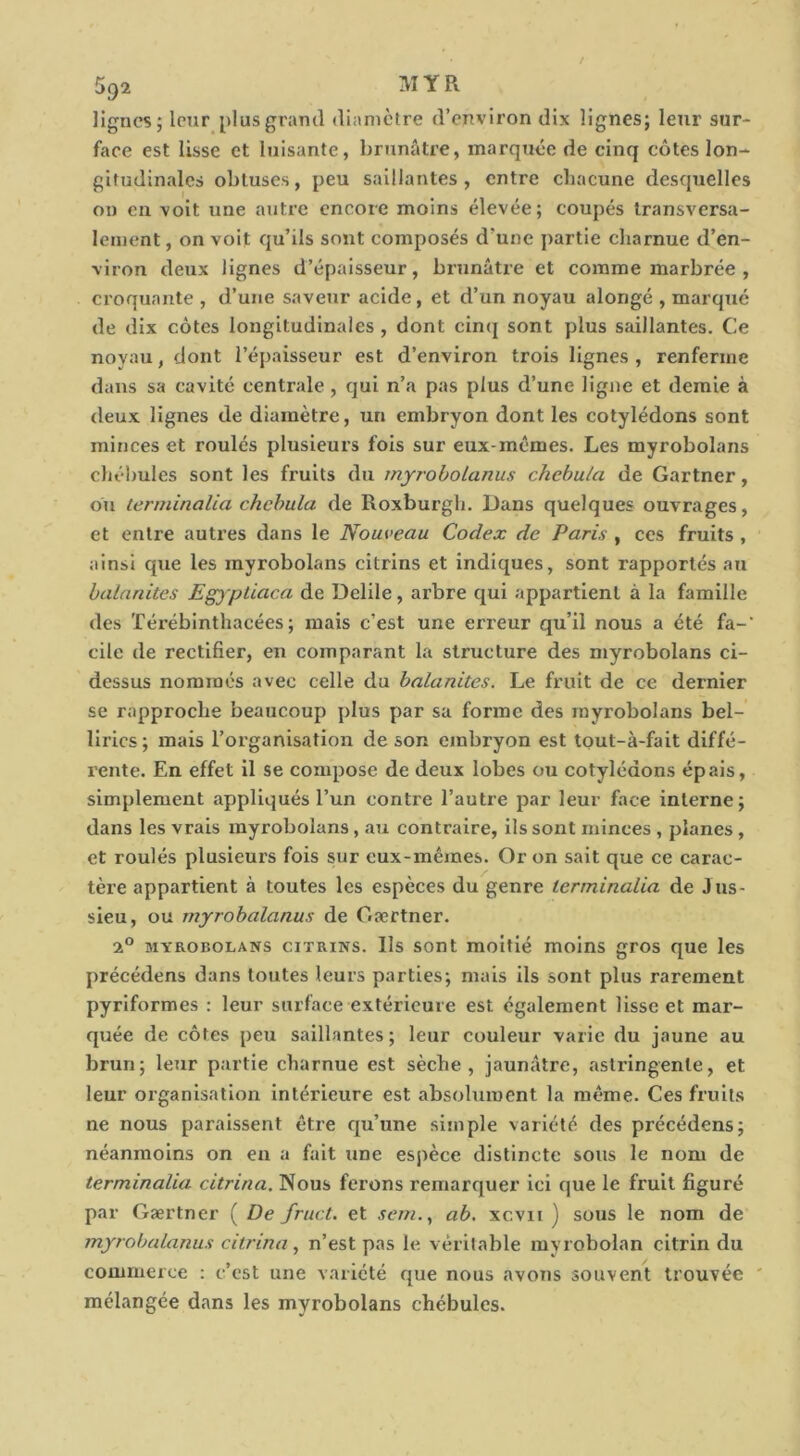 5q2 MYR lignes; leurj)l us grand diamètre d’environ dix lignes; leur sur- face est lisse et luisante, brunâtre, marquée de cinq côtes lon- gitudinales obtuses, peu saillantes , entre chacune desquelles on eu voit une antre encore moins élevée; coupés transversa- lement , on voit qu’ils sont composés d’une partie charnue d’en- viron deux lignes d’épaisseur, brunâtre et comme marbrée , ci'oquante , d’une saveur acide, et d’un noyau alongé , marqué de dix côtes longitudinales, dont cinq sont plus saillantes. Ce noyau, dont l’épaisseur est d’environ trois lignes , renferme dans sa cavité centrale, qui n’a pas plus d’une ligne et demie à deux lignes de diamètre, un embryon dont les cotylédons sont minces et roulés plusieurs fois sur eux-mêmes. Les myrobolans chébules sont les fruits du mji-obolanus chehula de Gartner, ou terminalia chehula de Roxburgh. Dans quelques ouvrages, et entre autres dans le Nouveau Codex de Paris, ces fruits, ainsi que les myrobolans citrins et indiques, sont rapportés au halarùtes Egjptiaca de Delile, arbre qui appartient à la famille des Térébinthacées ; mais c’est une erreur qu’il nous a été fa-' cile de rectifier, en comparant la structure des myrobolans ci- dessus nommés avec celle du balanites. Le fruit de ce dernier se rapproche beaucoup plus par sa forme des myrobolans bel- lirics ; mais l’organisation de son embryon est tout-à-fait diffé- rente. En effet il se compose de deux lobes ou cotylédons épais, simplement appliqués l’un contre l’autre par leur face interne; dans les vrais myrobolans, au contraire, ils sont minces , planes , et roulés plusieurs fois sur eux-mêmes. Or on sait que ce carac- tère appartient à toutes les espèces du genre lerminalia de Jus- sieu, ou rnyrohalanus de Gærtner. 2° MYROBOLANS CITRINS. lls sont moitié moins gros que les précédens dans toutes leurs parties; mais ils sont plus rarement pyriformes : leur surface extérieure est également lisse et mar- quée de côtes peu saillantes; leur couleur varie du jaune au brun; leur partie charnue est sèche, jaunâtre, astringente, et leur organisation intérieure est absolument la même. Ces fruits ne nous paraissent être qu’une simple variété des précédens; néanmoins on eu a fait une espèce distincte sous le nom de terminalia citrina. Nous ferons remarquer ici que le fruit figuré par Gærtner ( De fruct. et sem., ah. xcvii ) sous le nom de myrobalanus citrina, n’est pas le véritable myrobolan citrin du commerce : c’est une variété que nous avons souvent trouvée ' mélangée dans les myrobolans chébules.