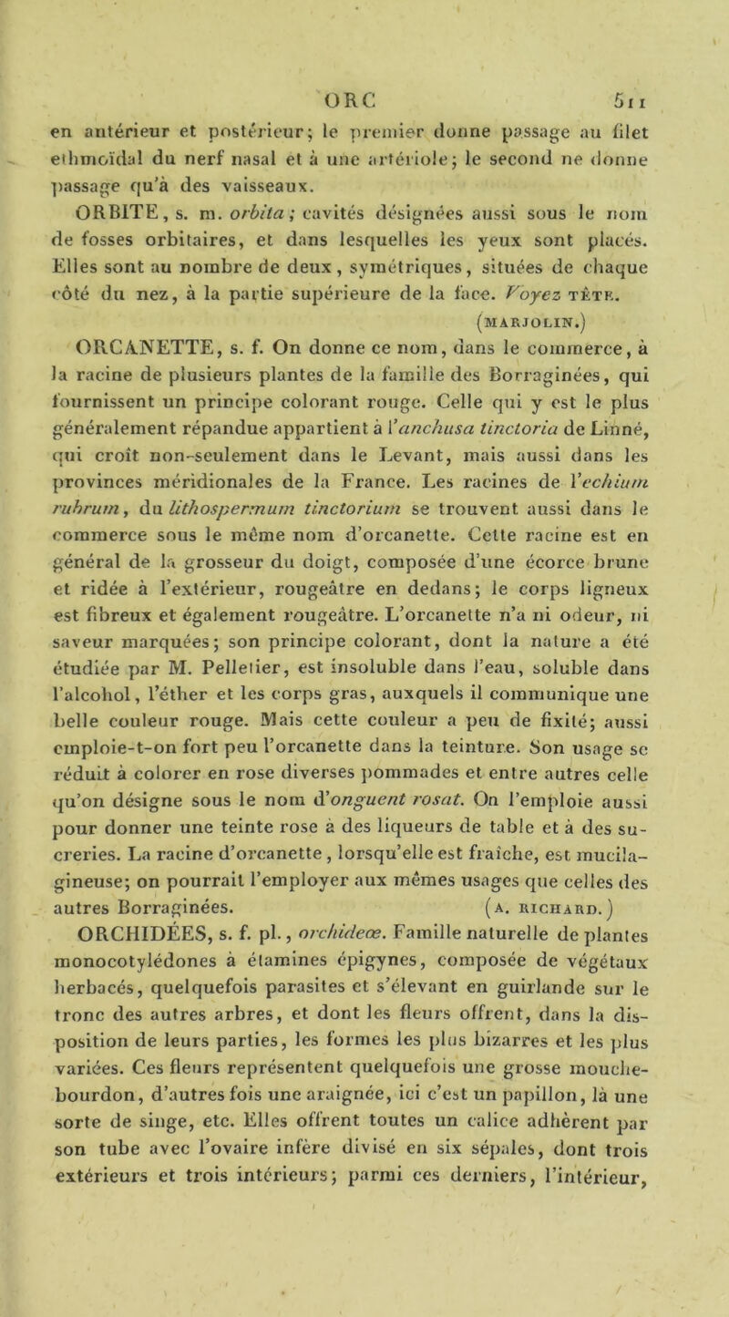 en antérieur et postérieur; le premier donne passage au filet ethniGïdal du nerf nasal et à une artériole; le second ne donne passage qu’à des vaisseaux. ORBITE, s. m. or6//a; cavités désignées aussi sous le nom de fosses orbitaires, et dans lesquelles les yeux sont placés. Elles sont au nombre de deux, symétriques, situées de chaque côté du nez, à la partie supérieure de la face. Voyez tktk. (marjolin.) ORCANETTE, s. f. On donne ce nom, dans le commerce, à la racine de plusieurs plantes de la famille des Borraginées, qui fournissent un principe colorant rouge. Celle qui y est le plus généralement répandue appartient à Vanchusa tinctoria de Linné, qui croît non-seulement dans le Levant, mais aussi dans les provinces méridionales de la France. Les racines de Vechiurn ruhrum, àn lithospermurn tinctorium se trouvent aussi dans le commerce sous le même nom d’orcanette. Celte racine est en général de la grosseur du doigt, composée d’une écorce brune et ridée à l’extérieur, rougeâtre en dedans; le corps ligneux est fibreux et également rougeâtre. L’orcanette n’a ni odeur, ni saveur marquées; son principe colorant, dont la nature a été étudiée par M. Pelletier, est insoluble dans l’eau, soluble dans l’alcohol, l’éther et les corps gras, auxquels il communique une belle couleur rouge. Mais cette couleur a peu de fixité; aussi cmploie-t-on fort peu l’orcanette dans la teinture. Son usage se réduit à colorer en rose diverses pommades et entre autres celle qu’on désigne sous le nom à'onguent rosat. On l’emploie aussi pour donner une teinte rose a des liqueurs de table et à des su- creries. La racine d’orcanette , lorsqu’elle est fraîche, est mucila- gineuse; on pourrait l’employer aux mêmes usages que celles des autres Borraginées. (a. richard.) ORCHIDÉES, s. f. pl., orchideœ. Famille naturelle déplantés monocotylédones à étamines épigynes, composée de végétaux herbacés, quelquefois parasites et s’élevant en guirlande sur le tronc des autres arbres, et dont les fleurs offrent, dans la dis- position de leurs parties, les formes les plus bizarres et les jilus variées. Ces fleurs représentent quelquefois une grosse mouche- bourdon, d’autres fois une araignée, ici c’est un papillon, là une sorte de singe, etc. Elles offrent toutes un calice adhèrent par son tube avec l’ovaire infère divisé en six sépales, dont trois extérieurs et trois intérieurs; parmi ces derniers, l’intérieur,